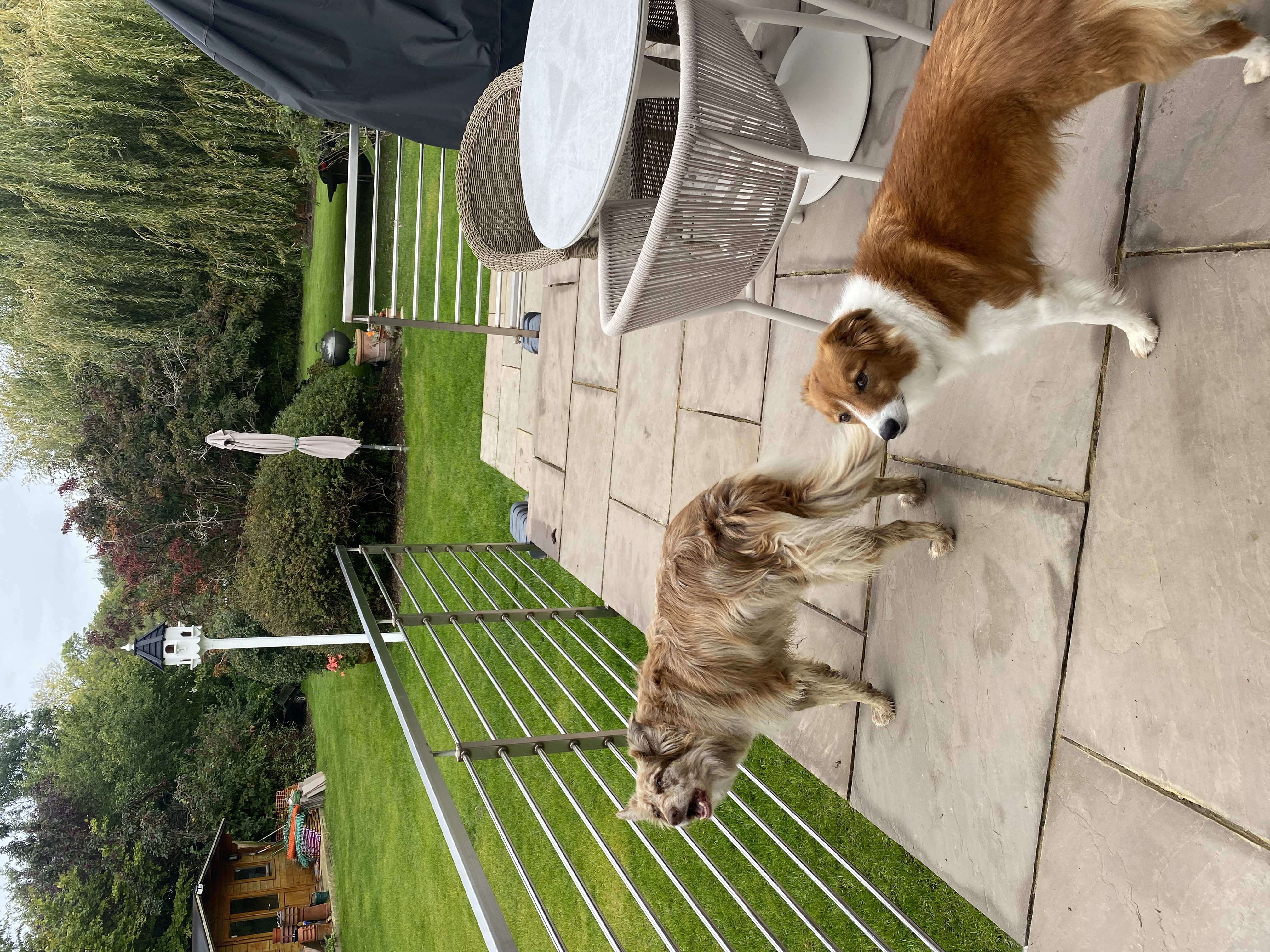 image-6