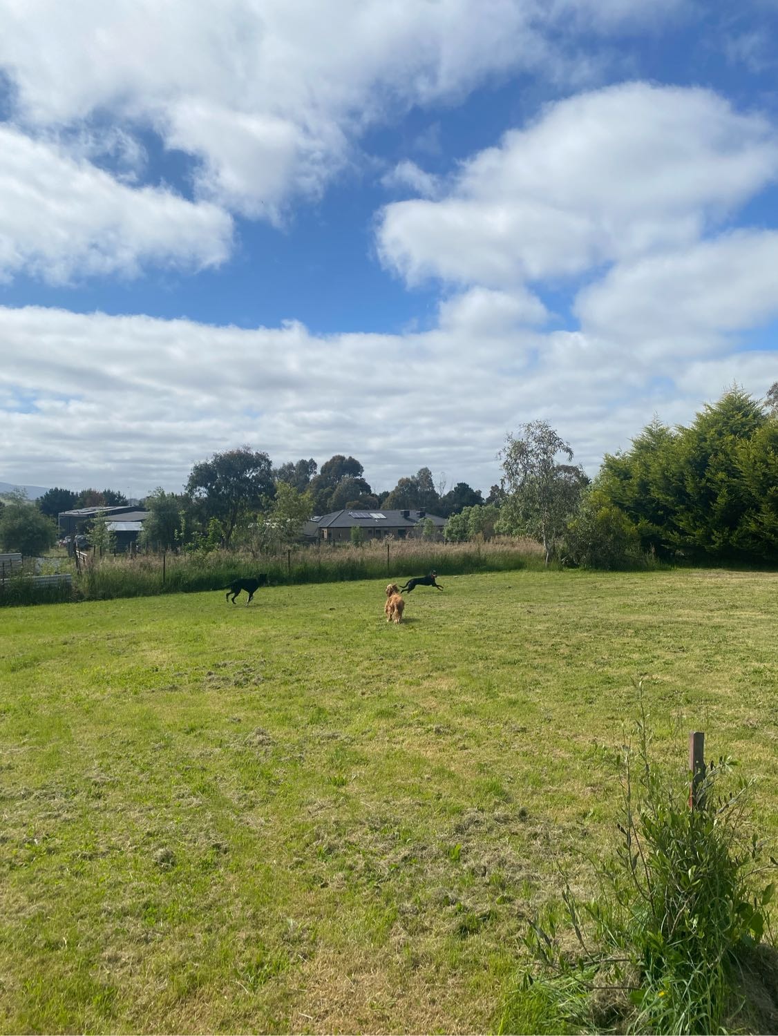 image-3