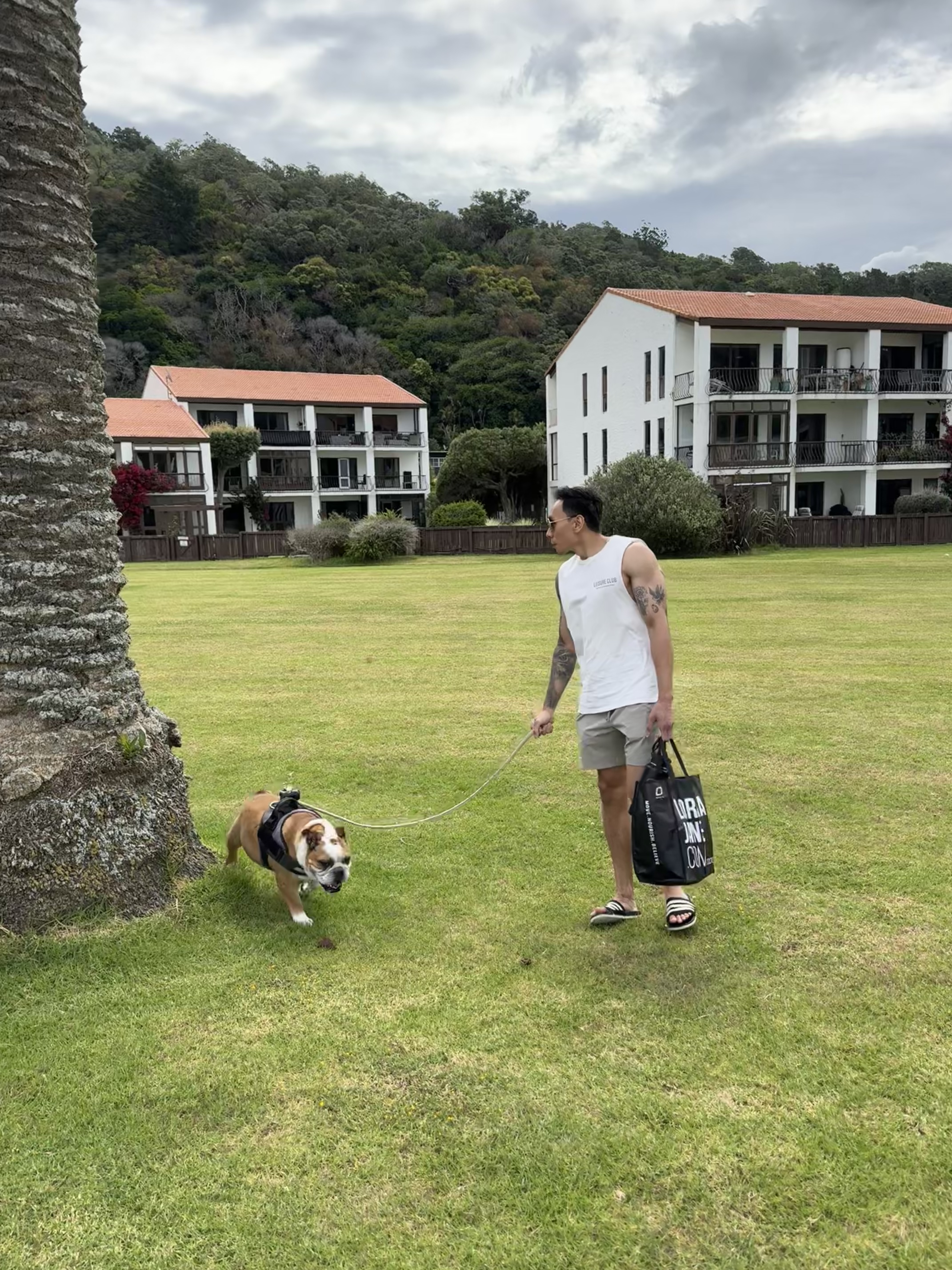 image-8