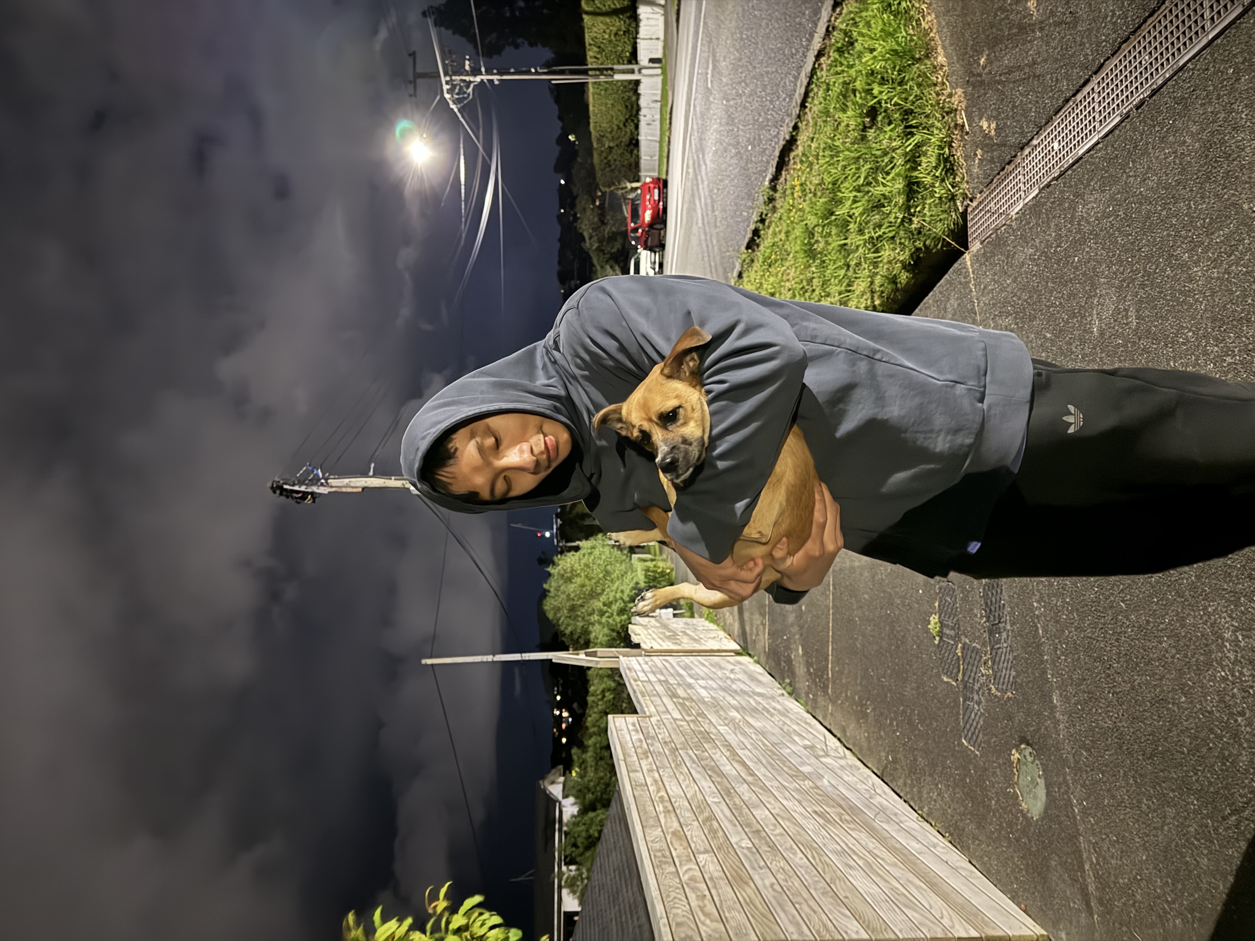 image-7