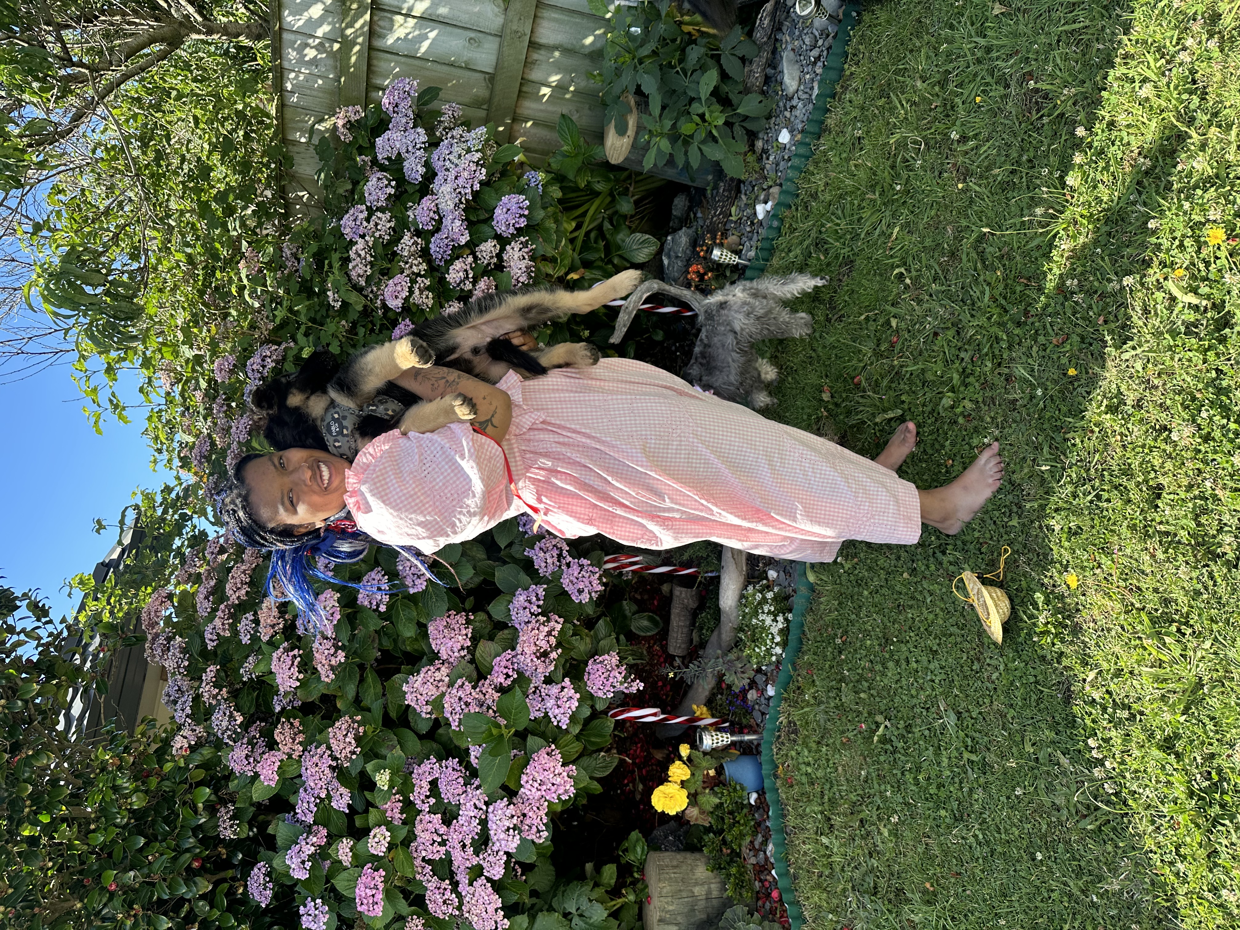 image-4