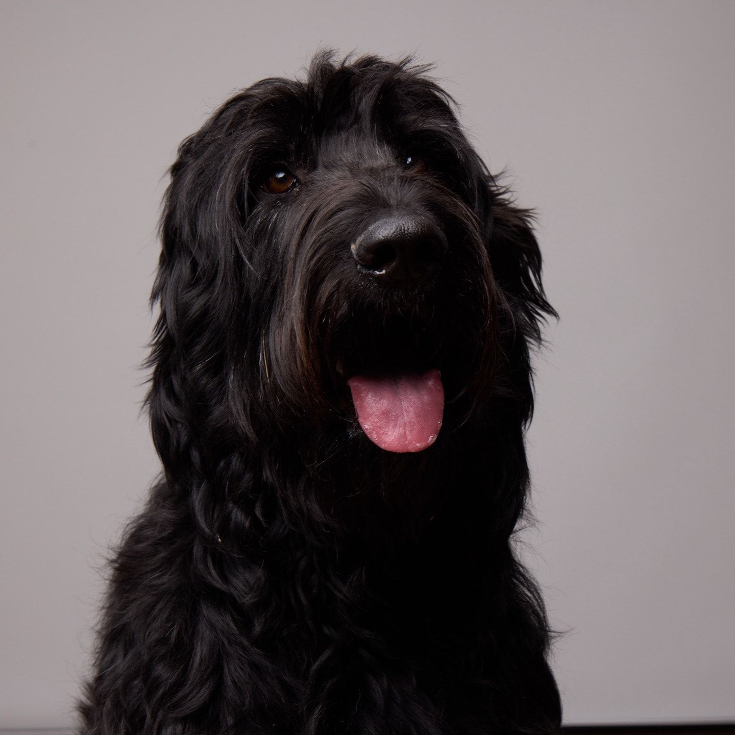 Onyx