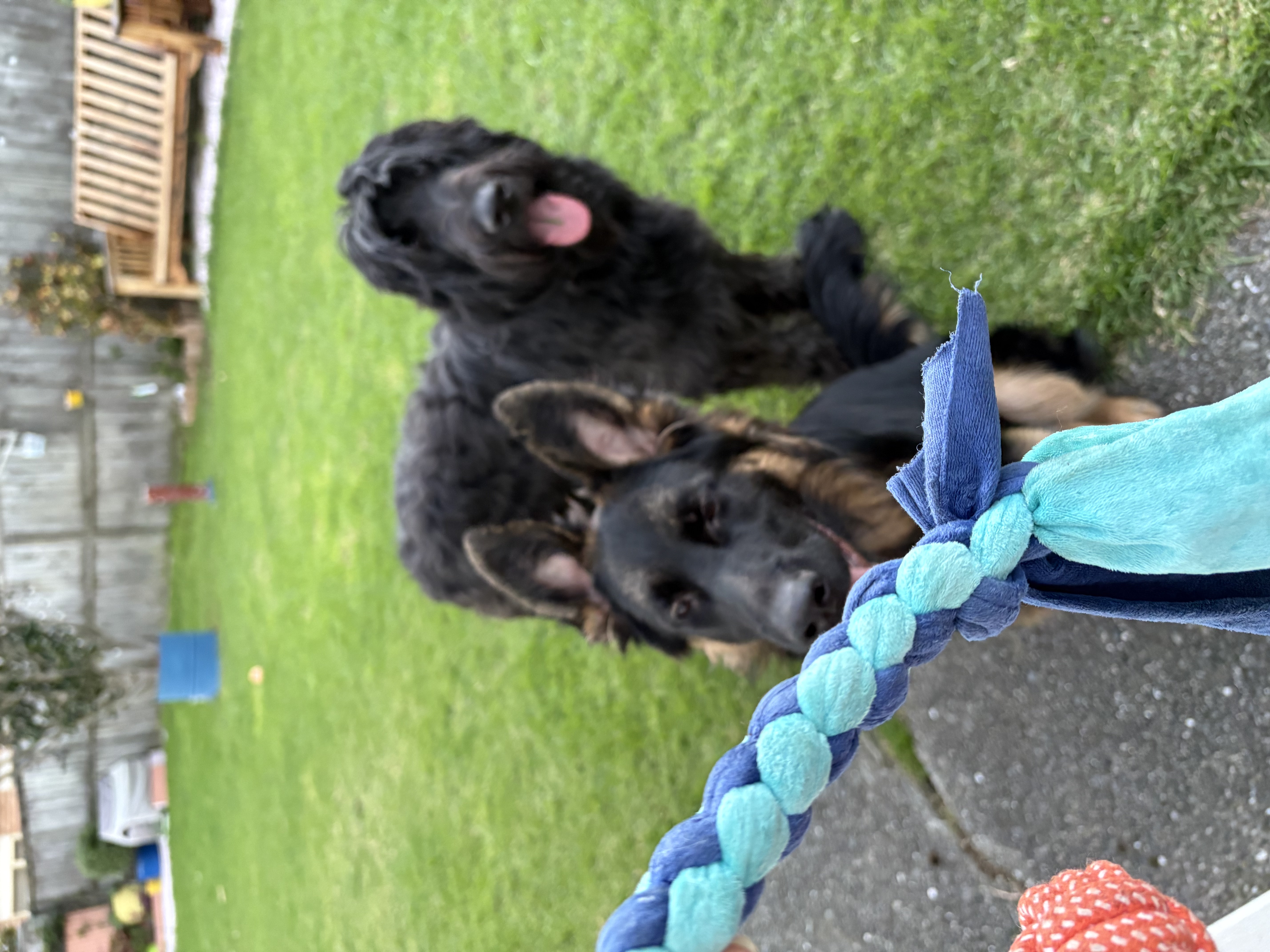image-8