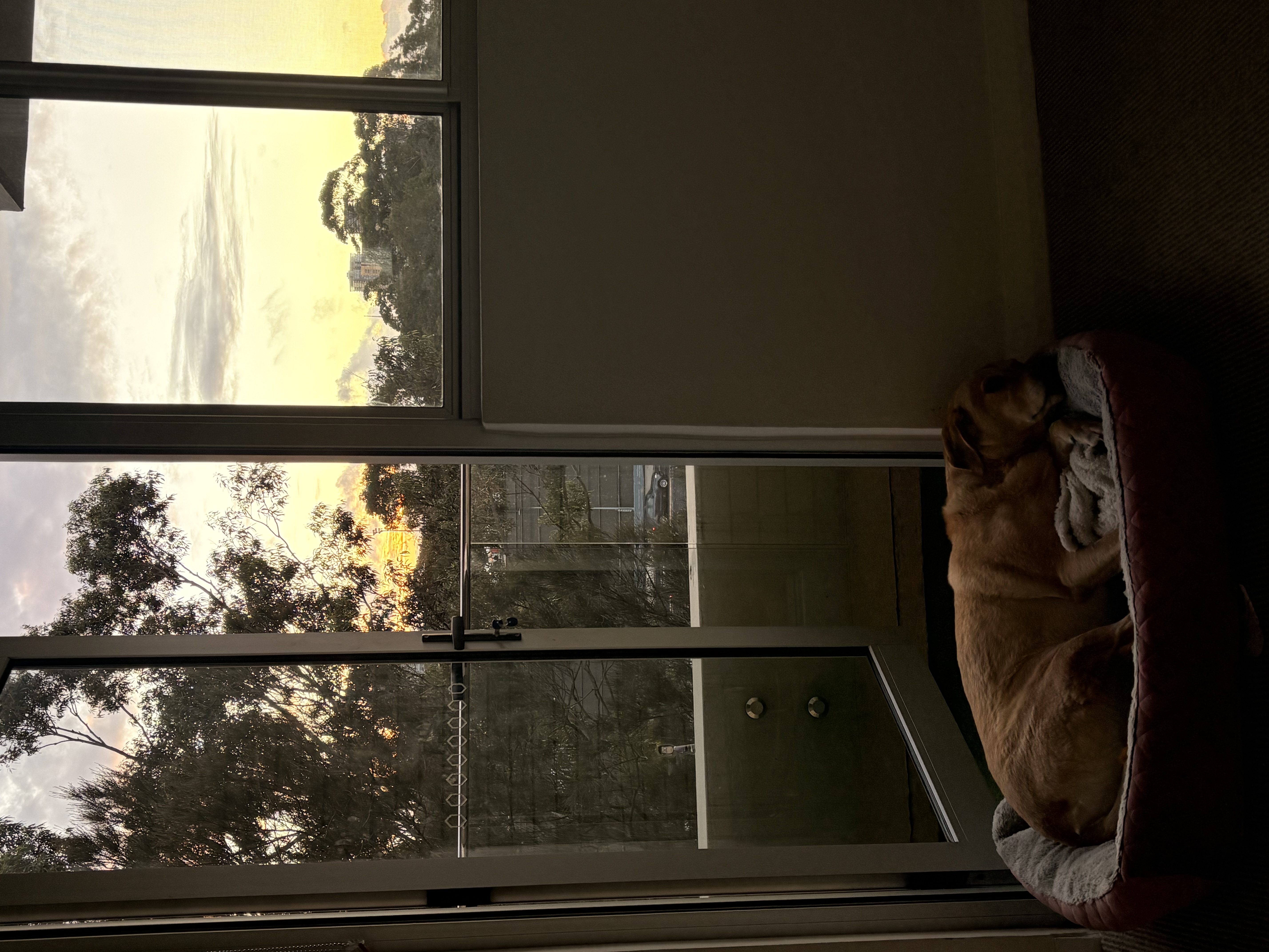 image-16