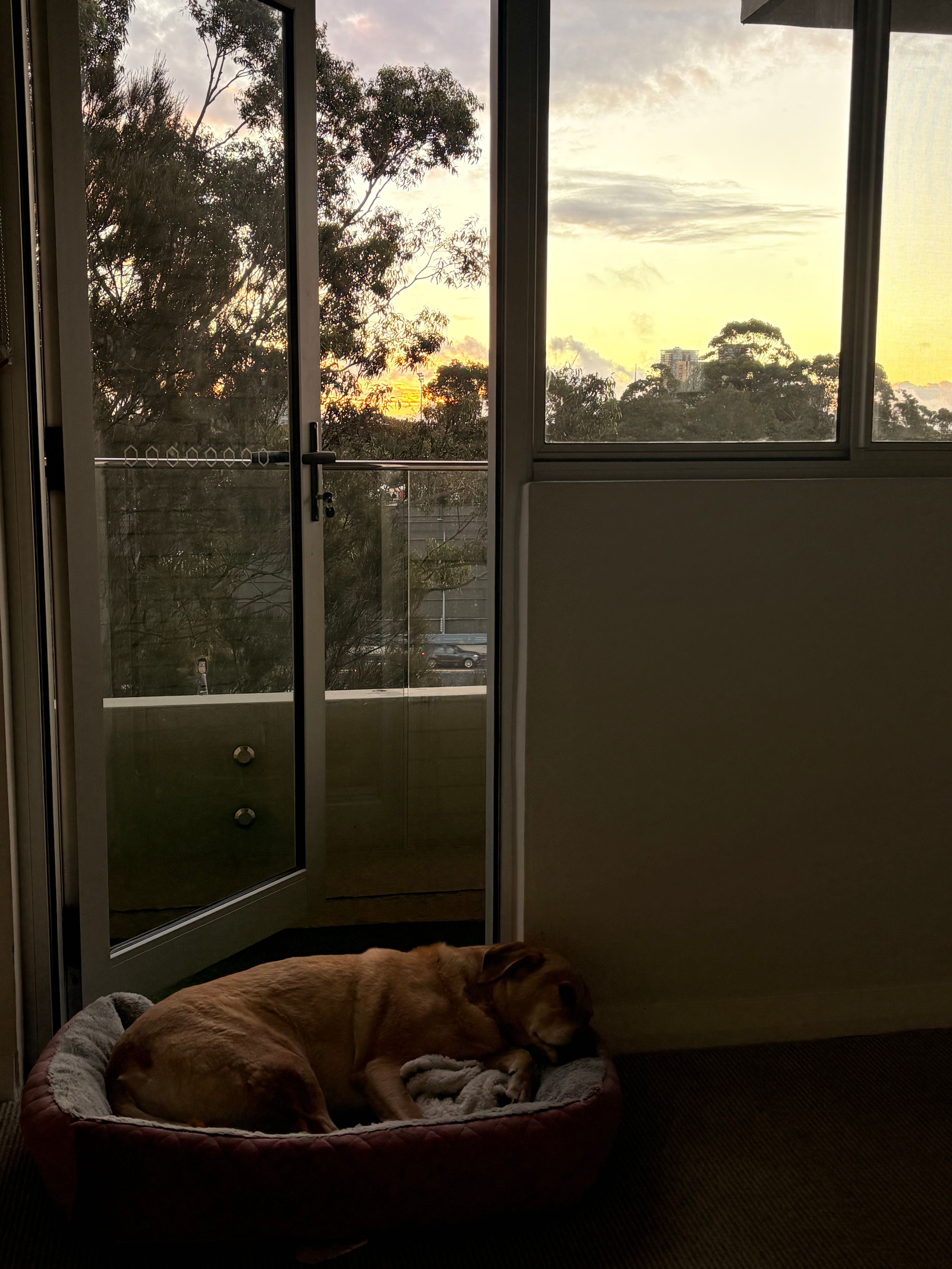 image-16