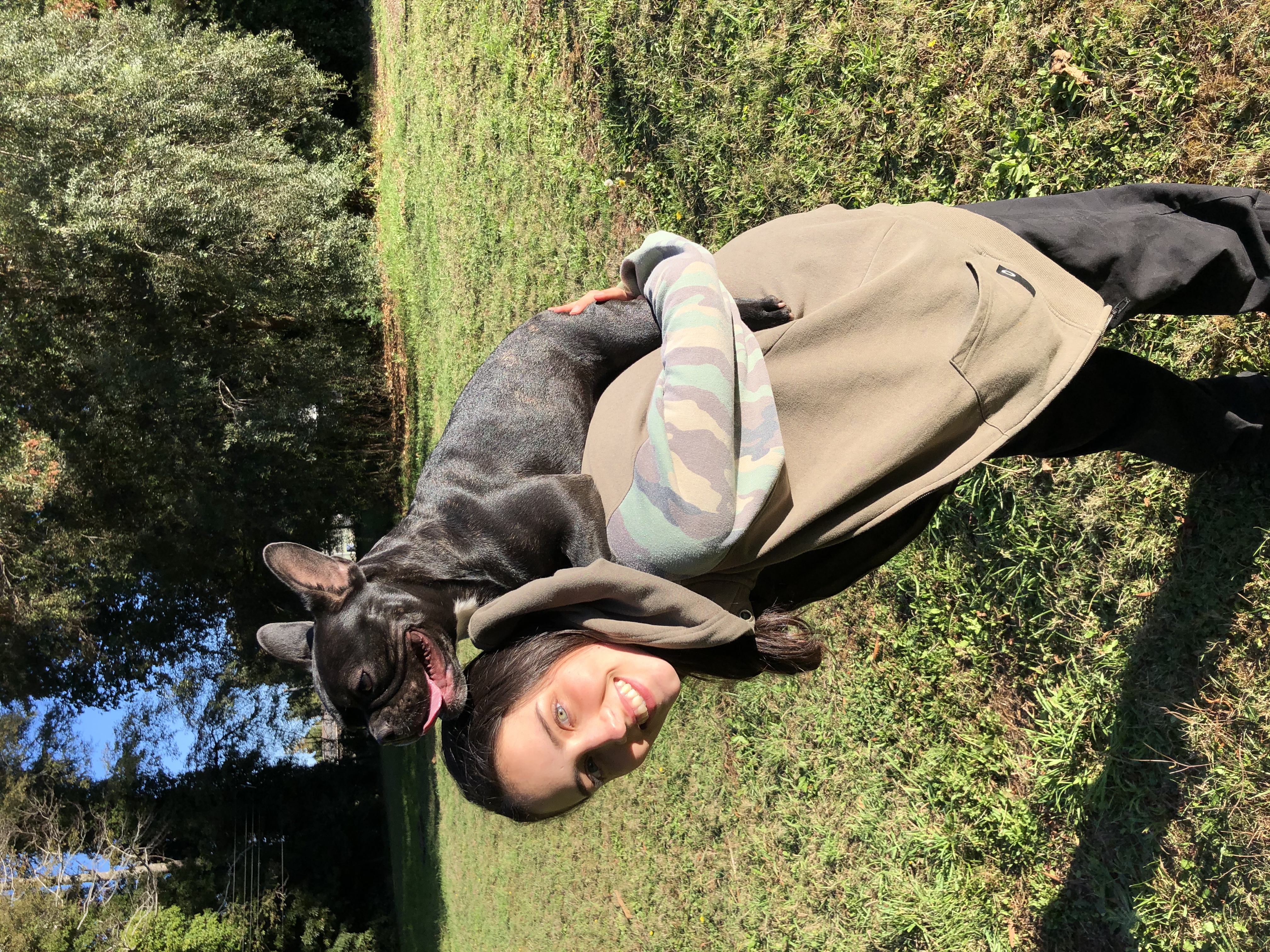 image-7