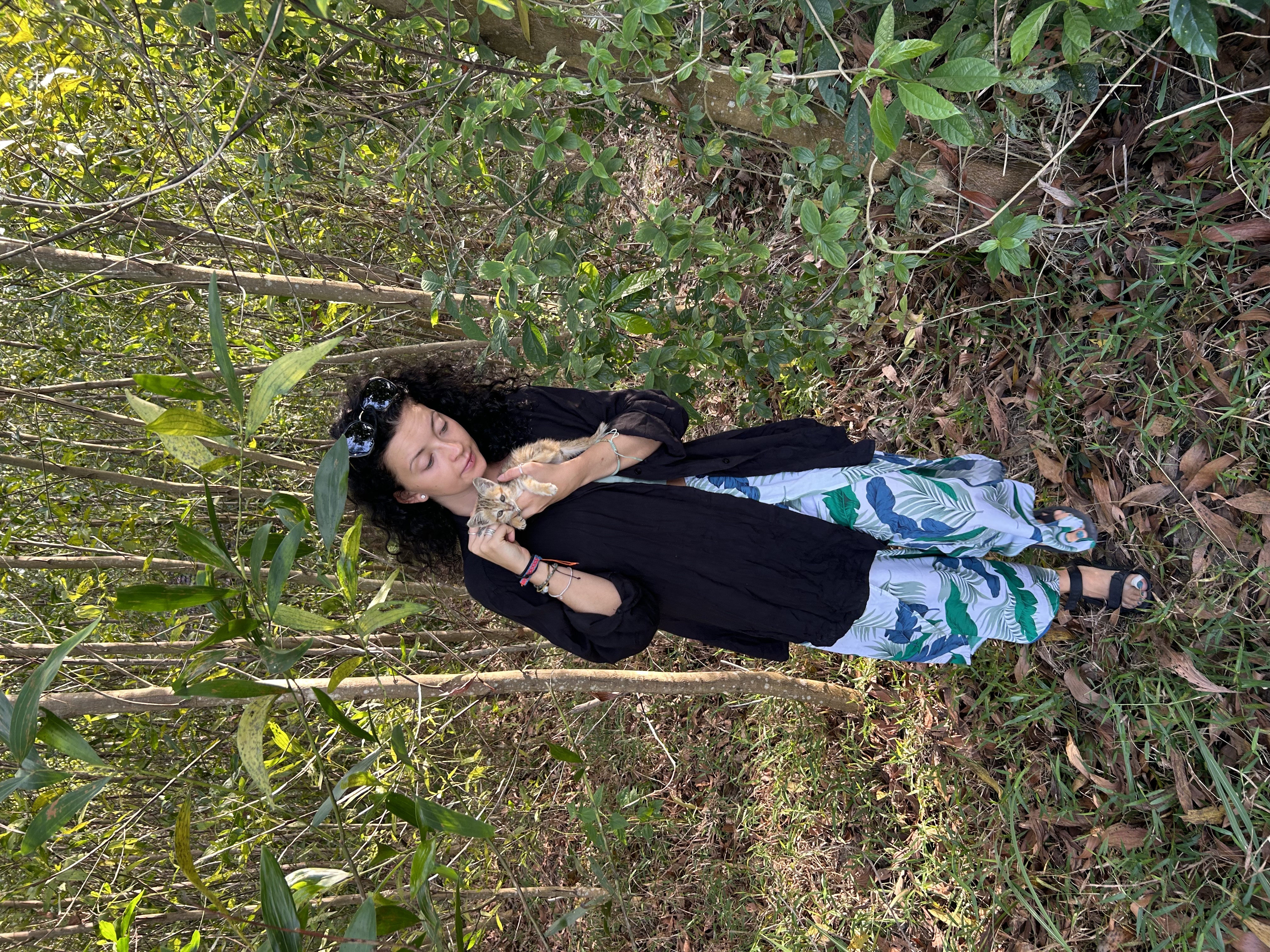 image-4