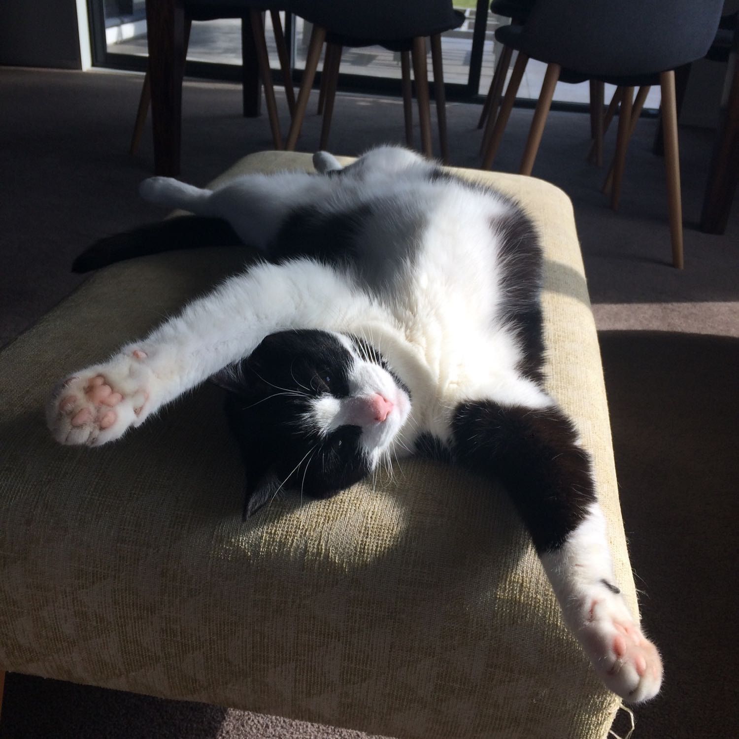 Rosie