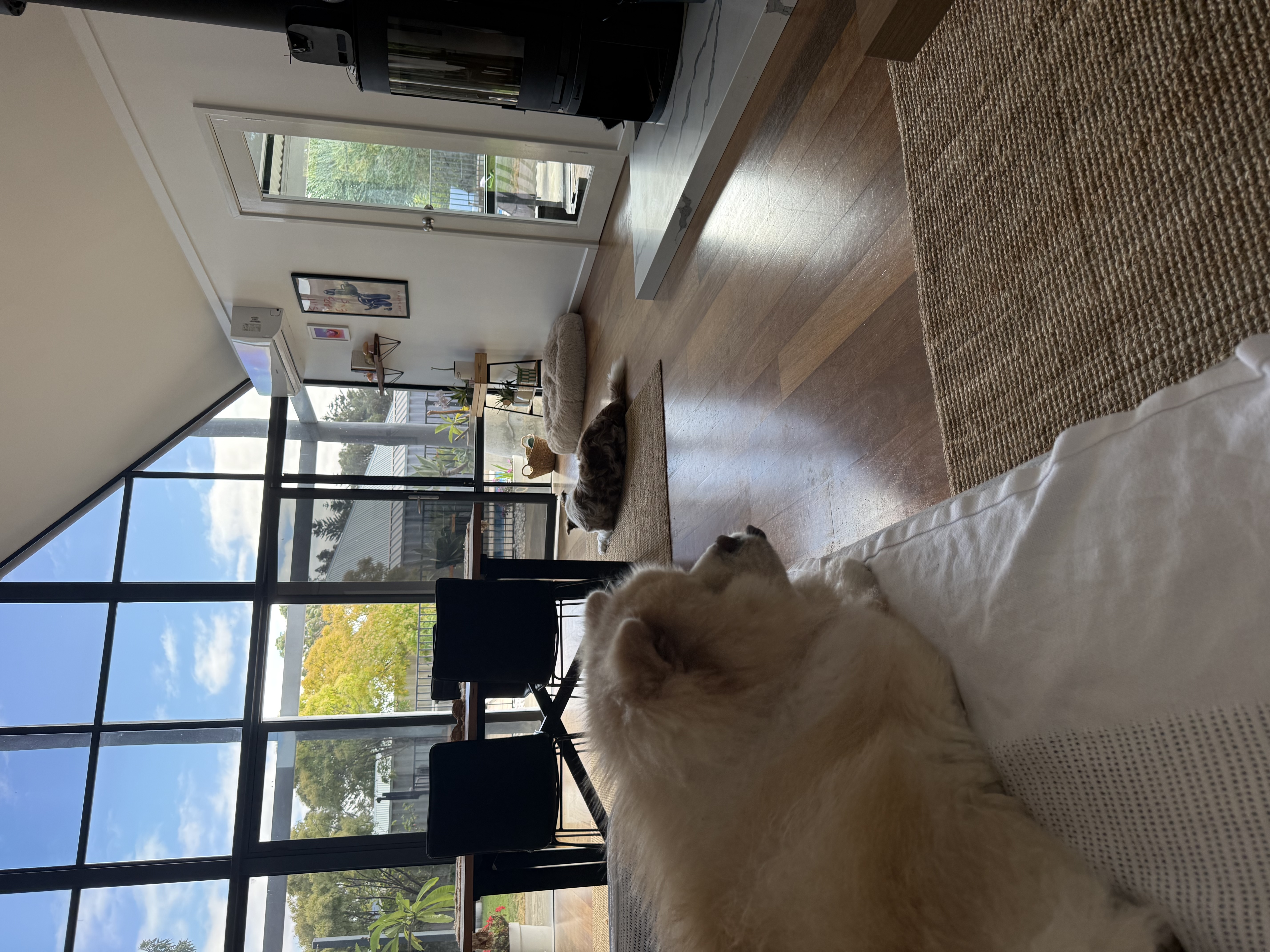 image-19