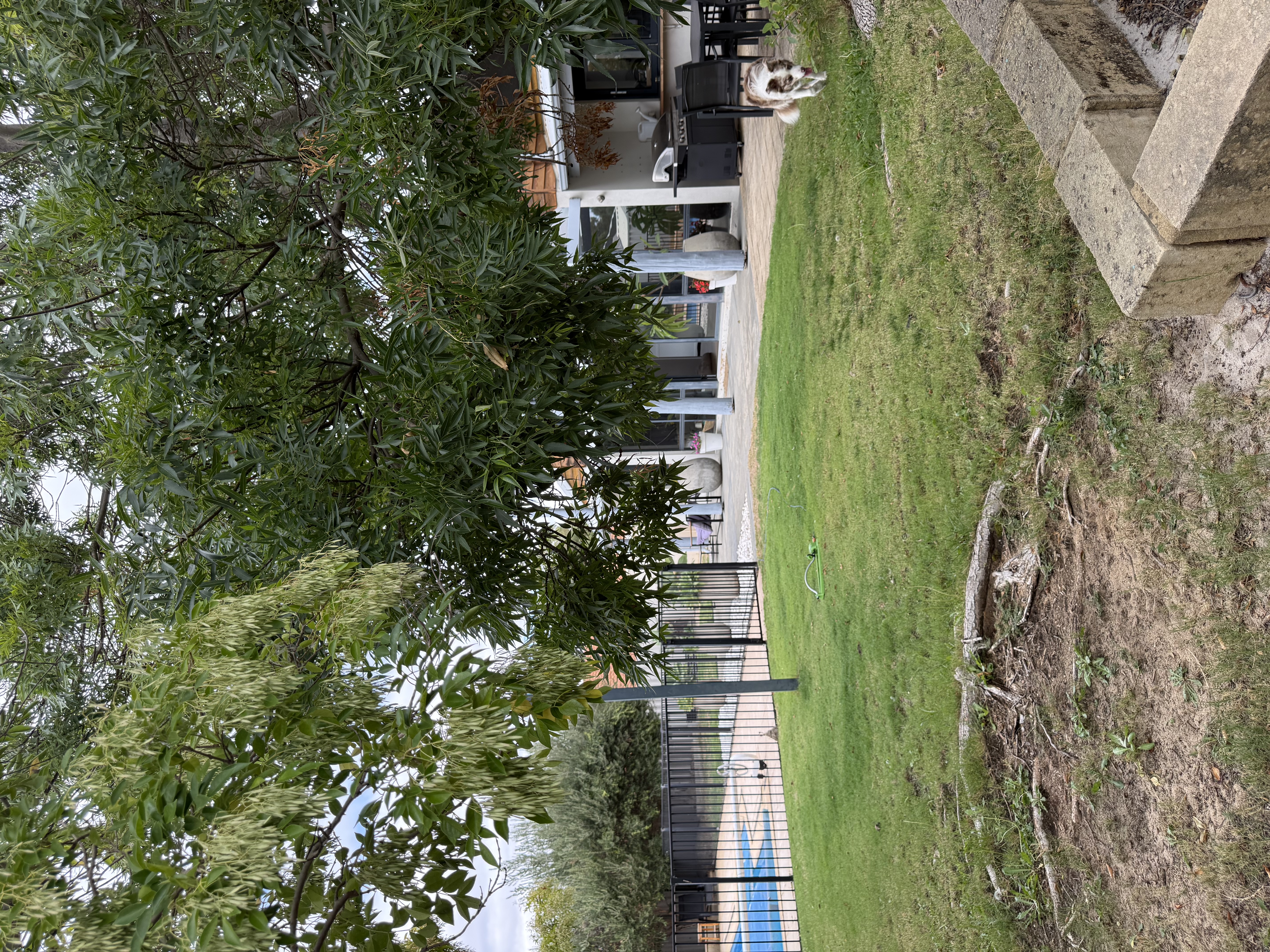 image-22