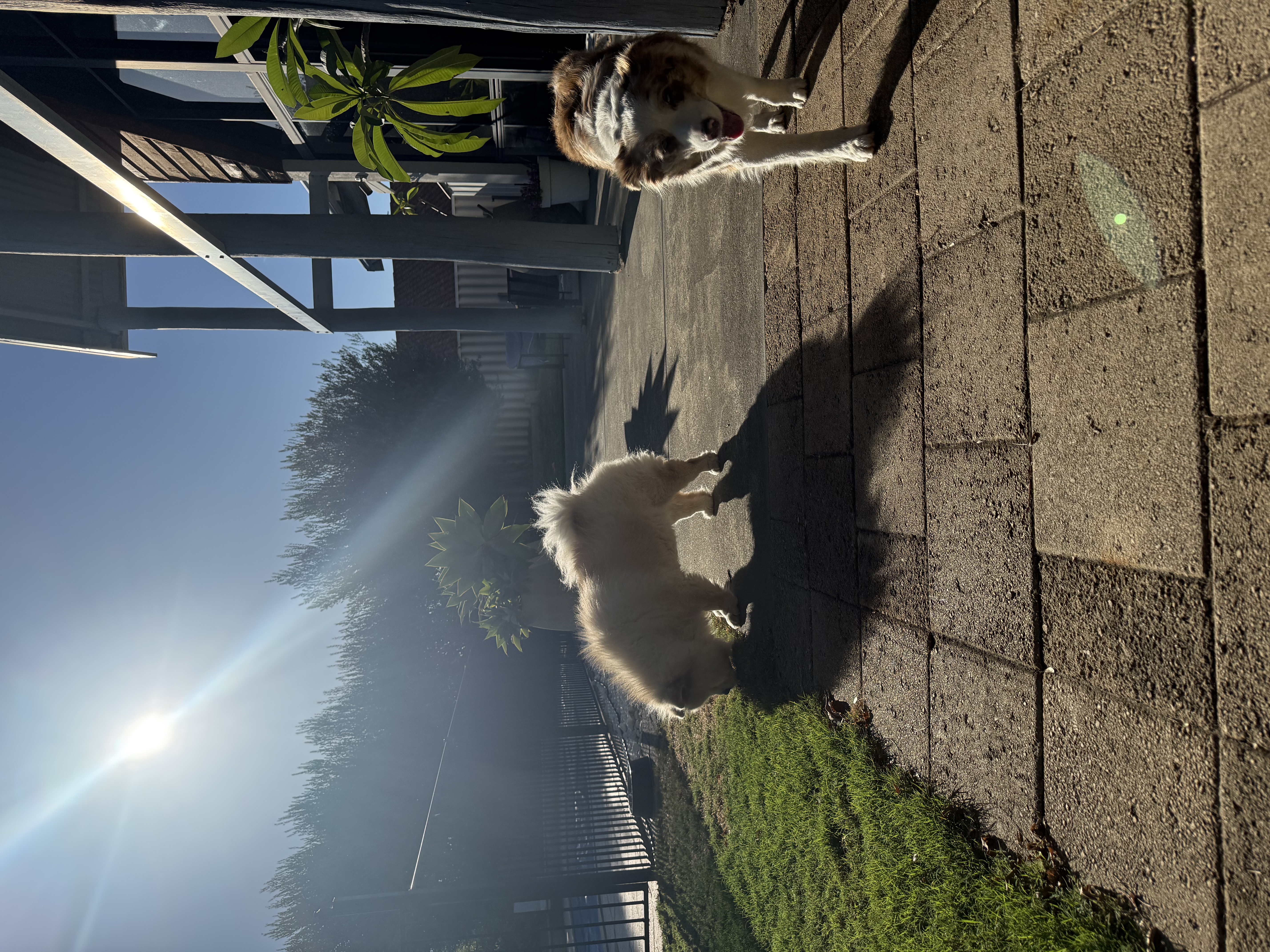 image-28