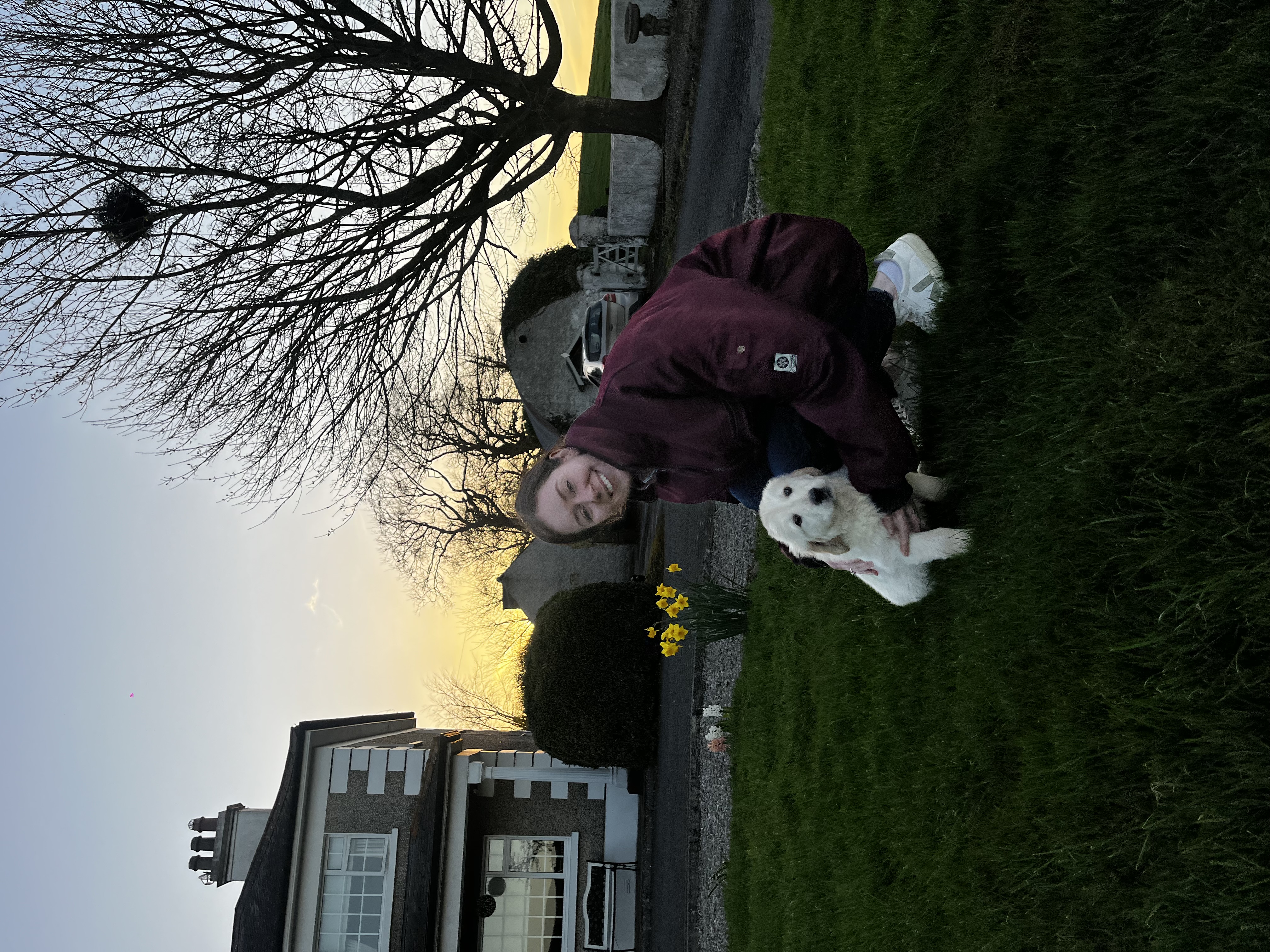 image-5