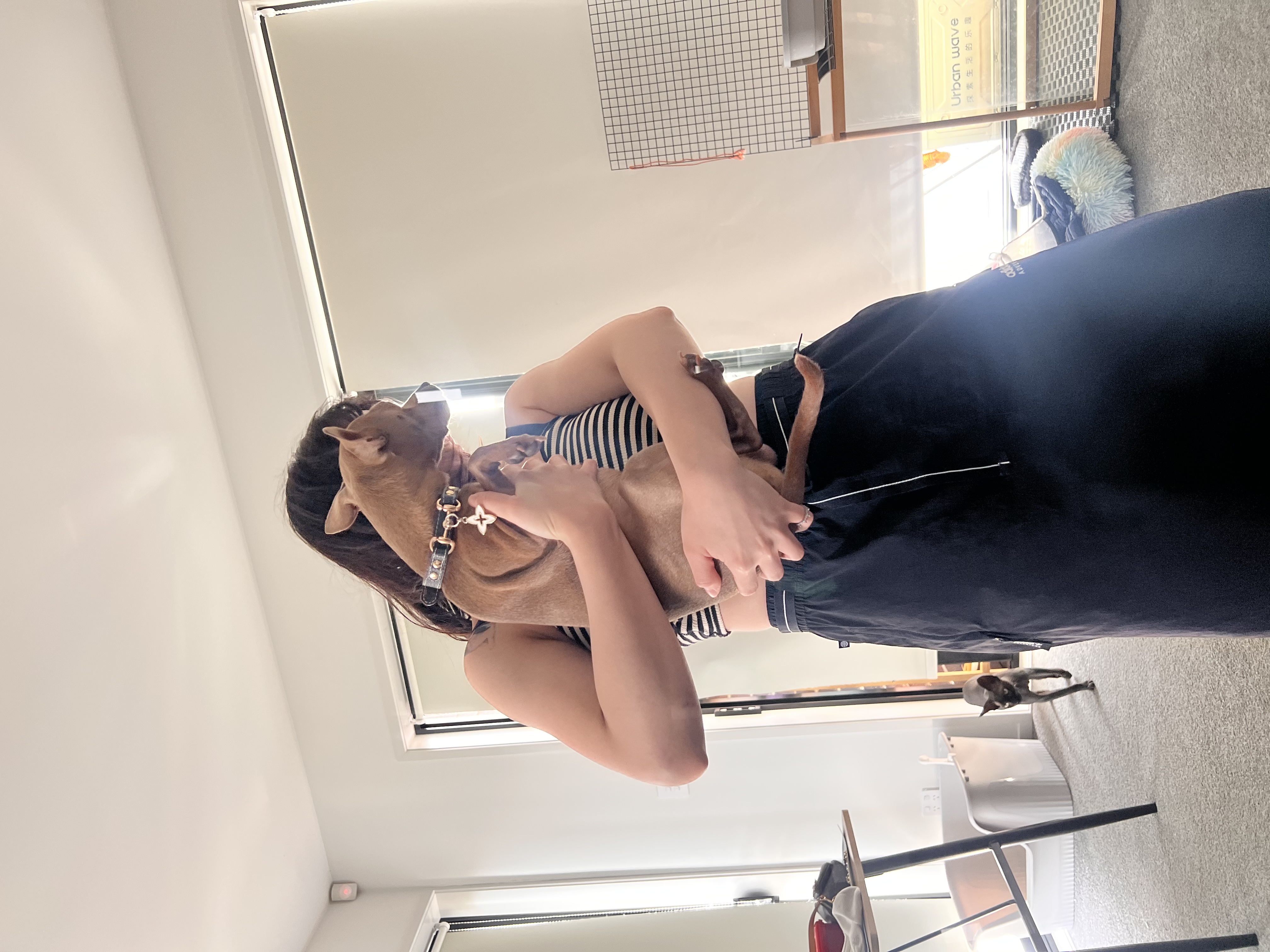 image-4