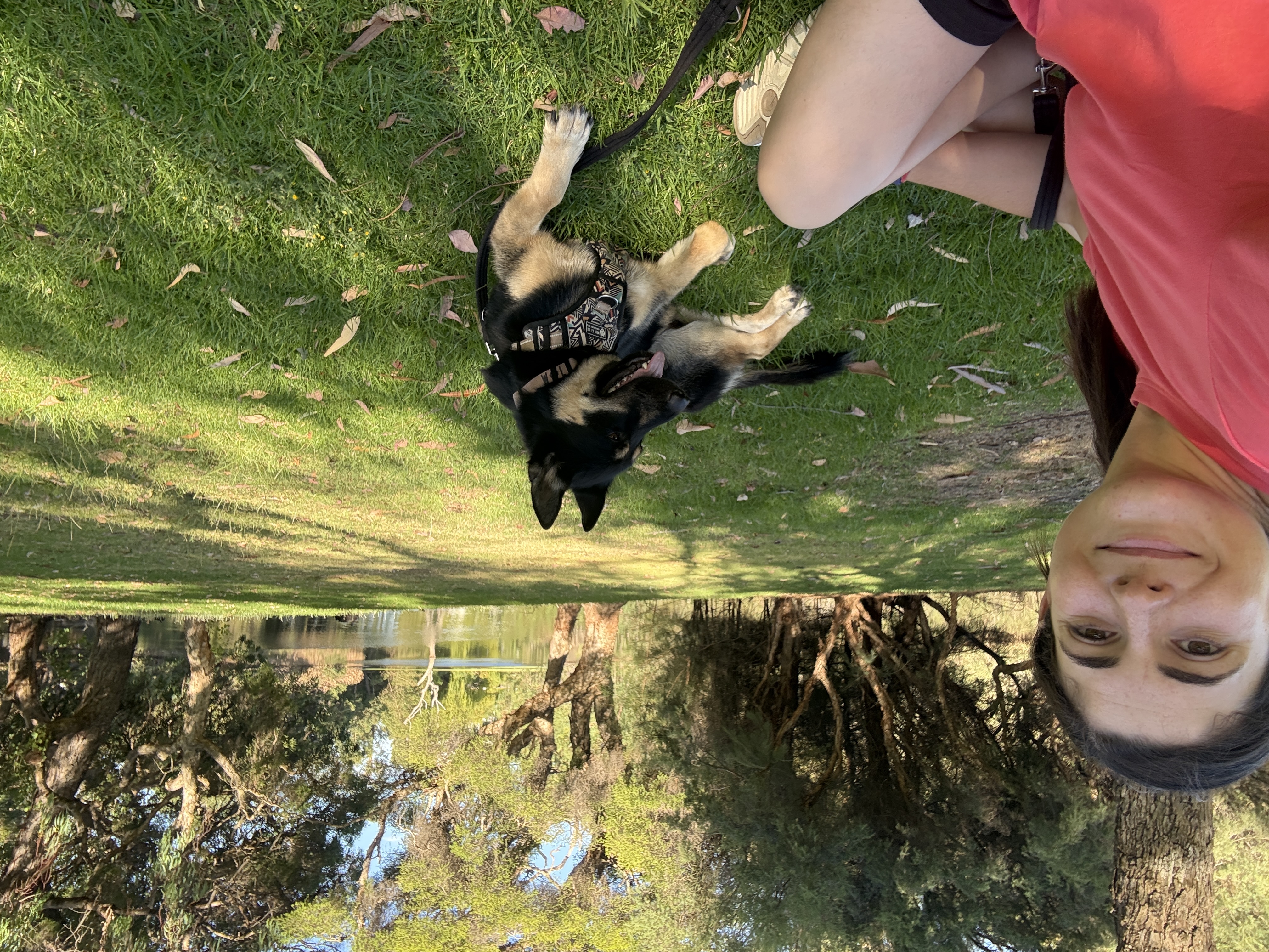 image-15