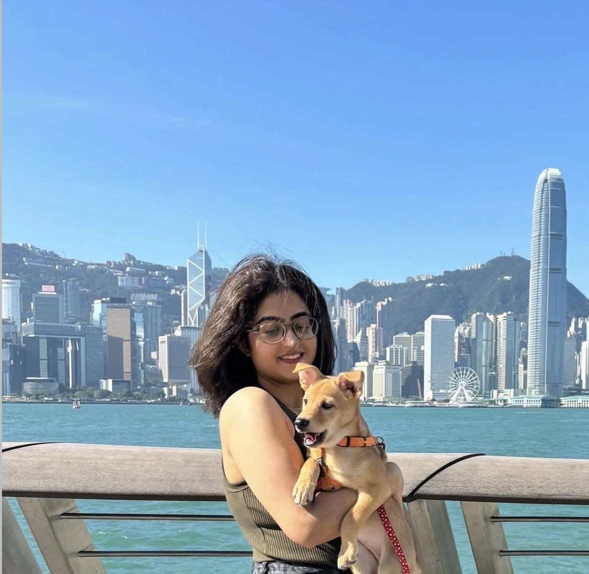 image-4