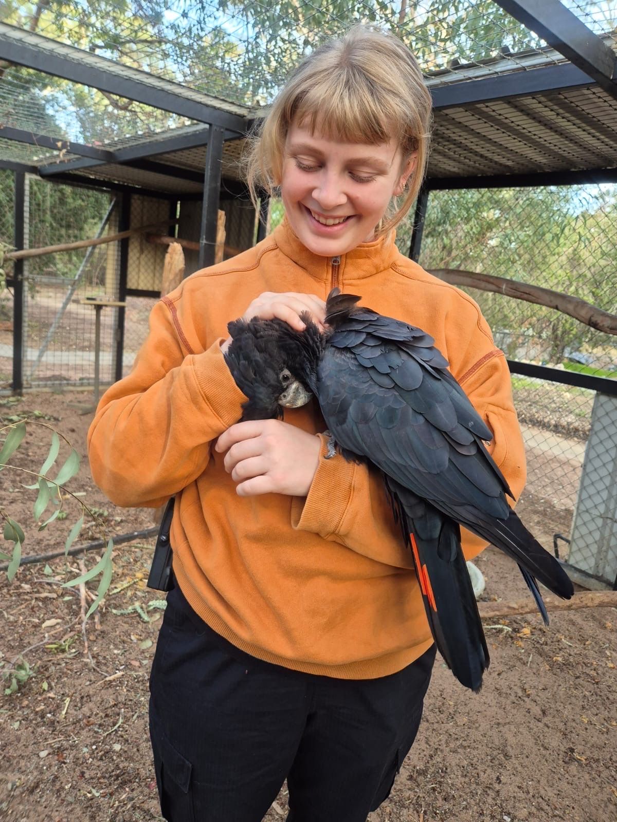 image-14