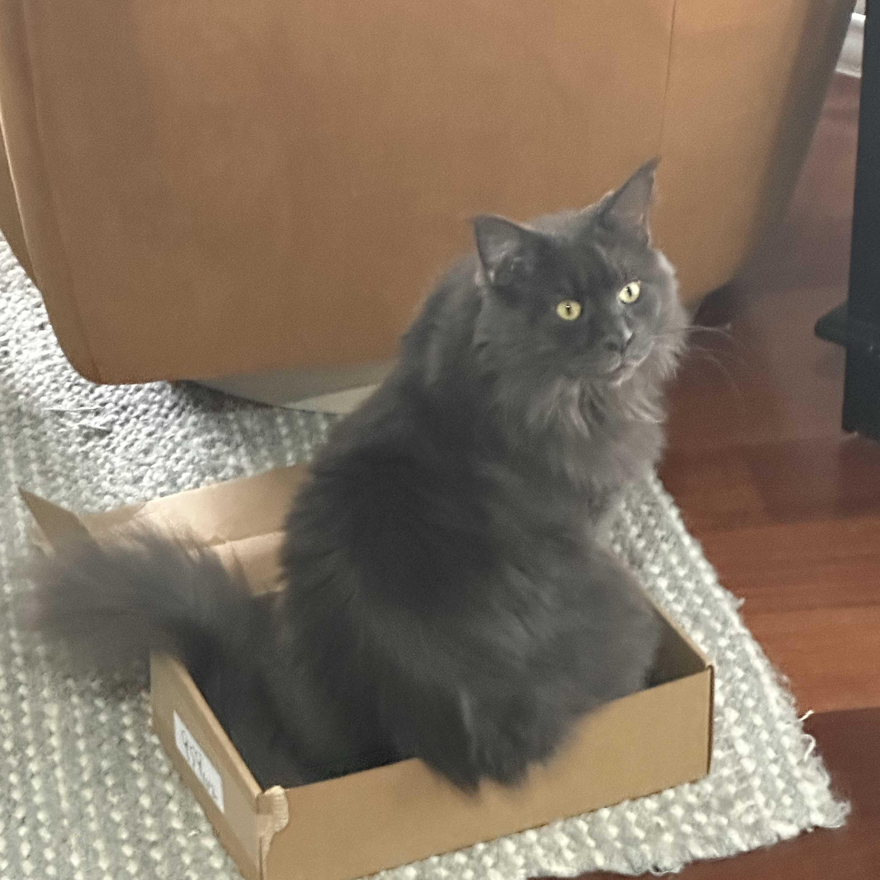 Tex