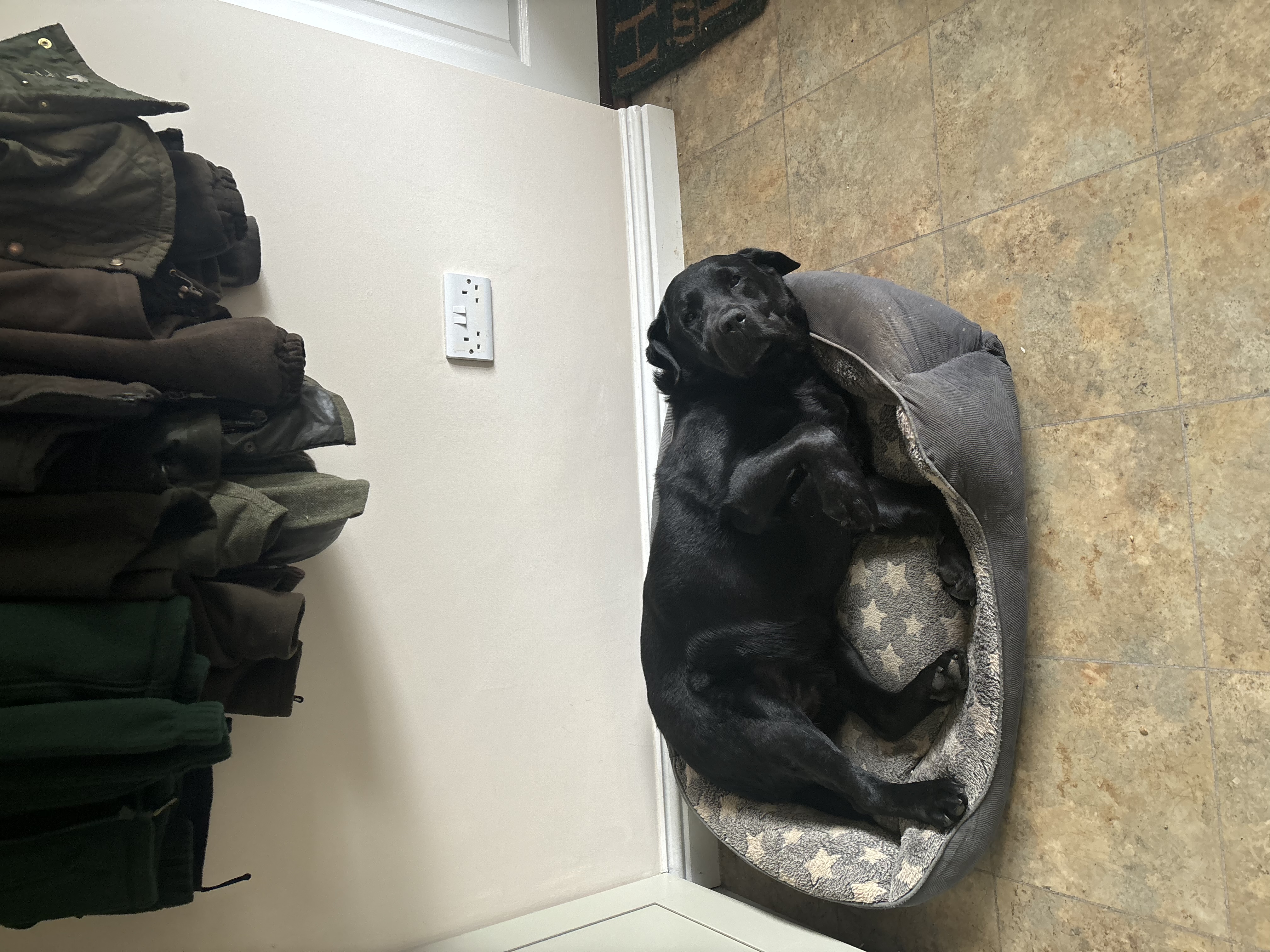 image-8