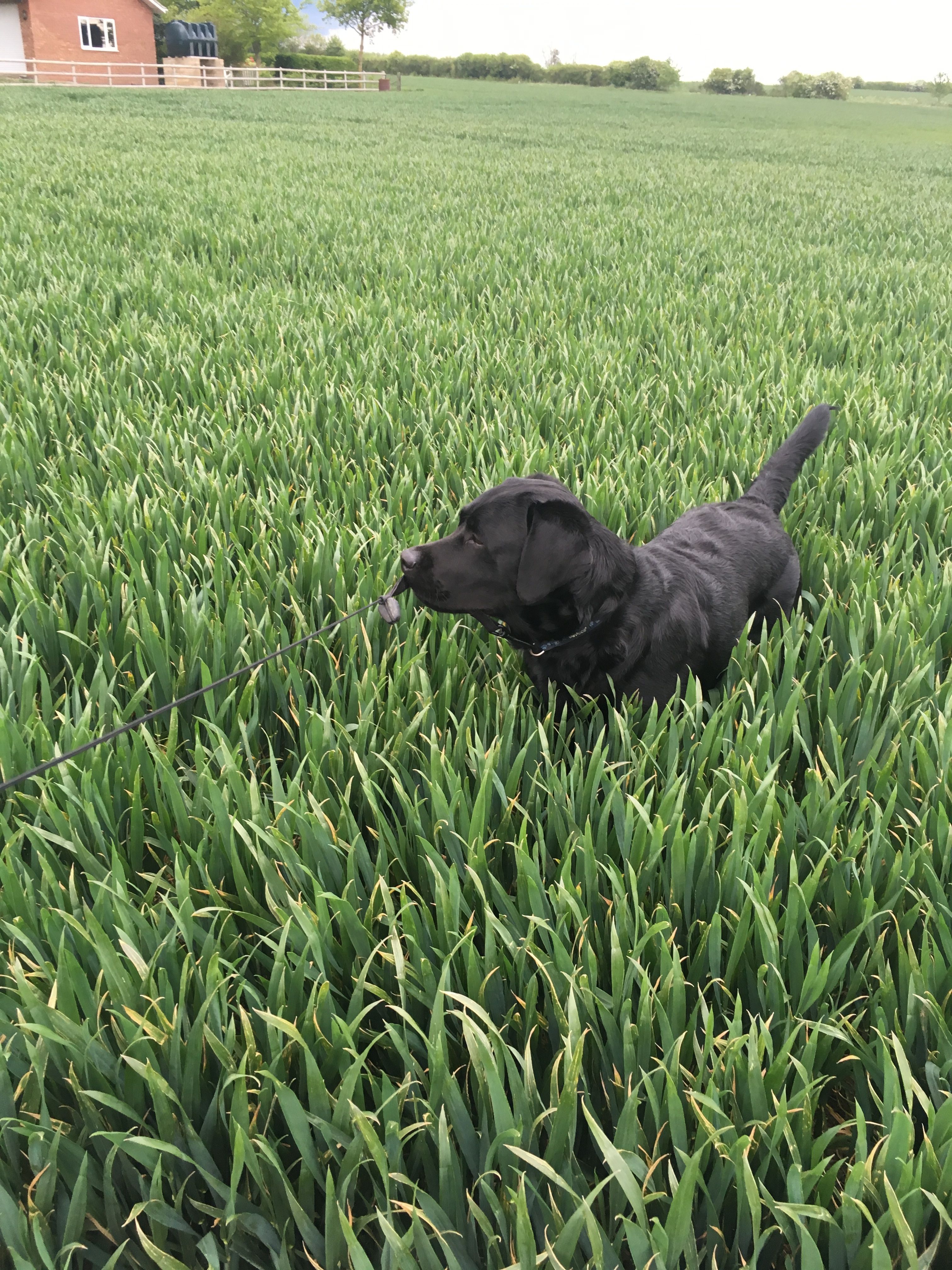 image-14