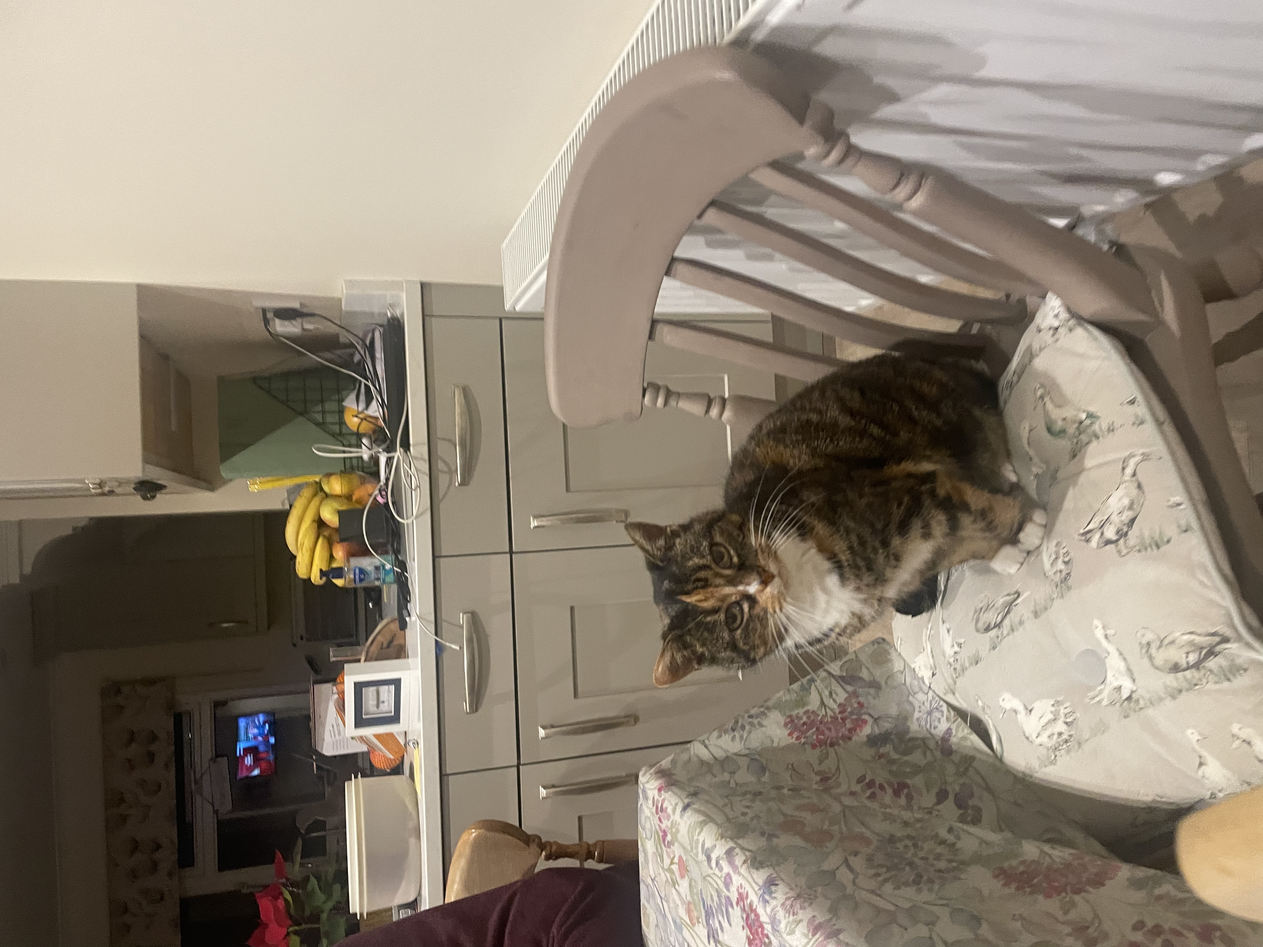 image-6