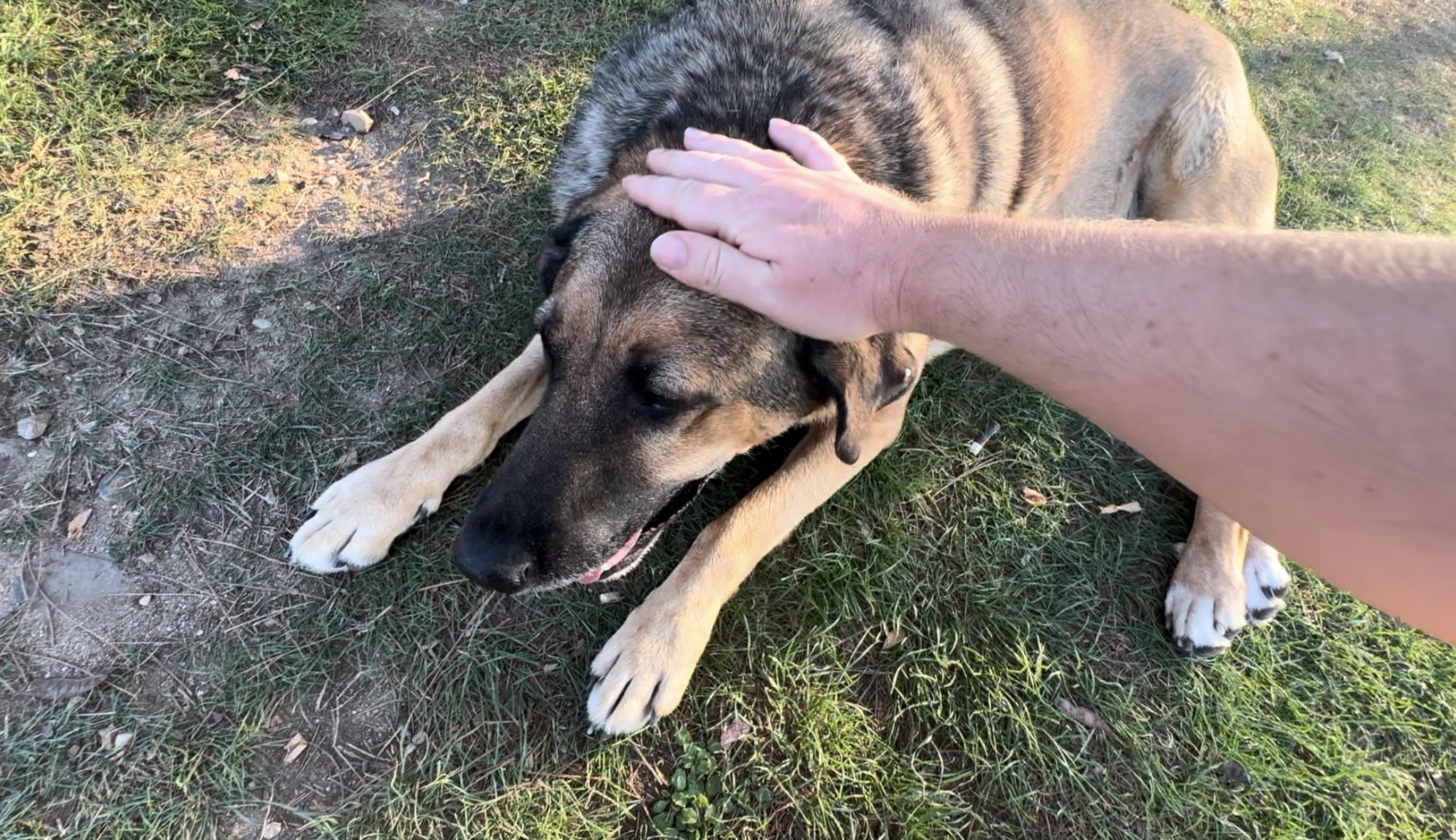 image-10