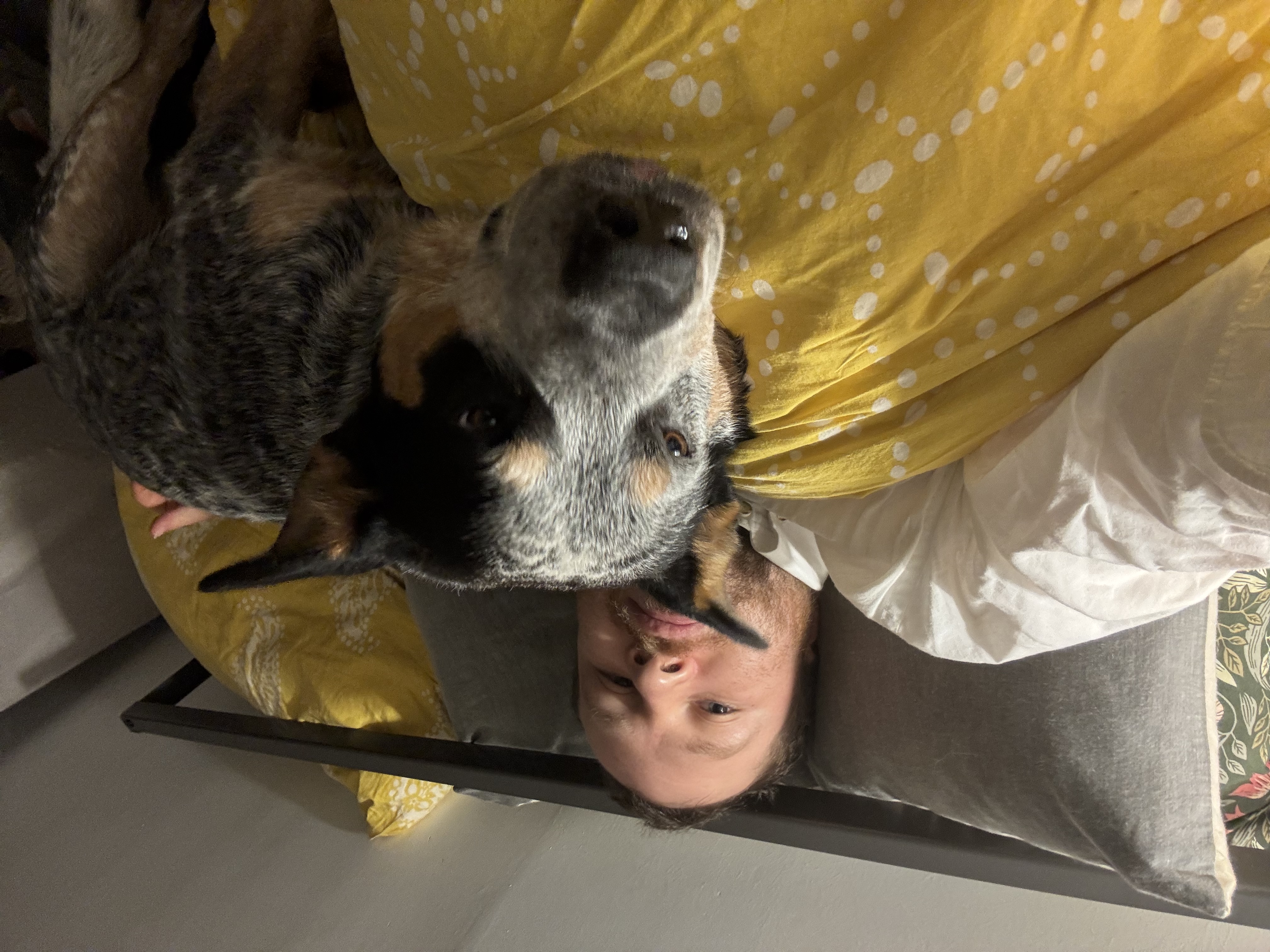 image-16