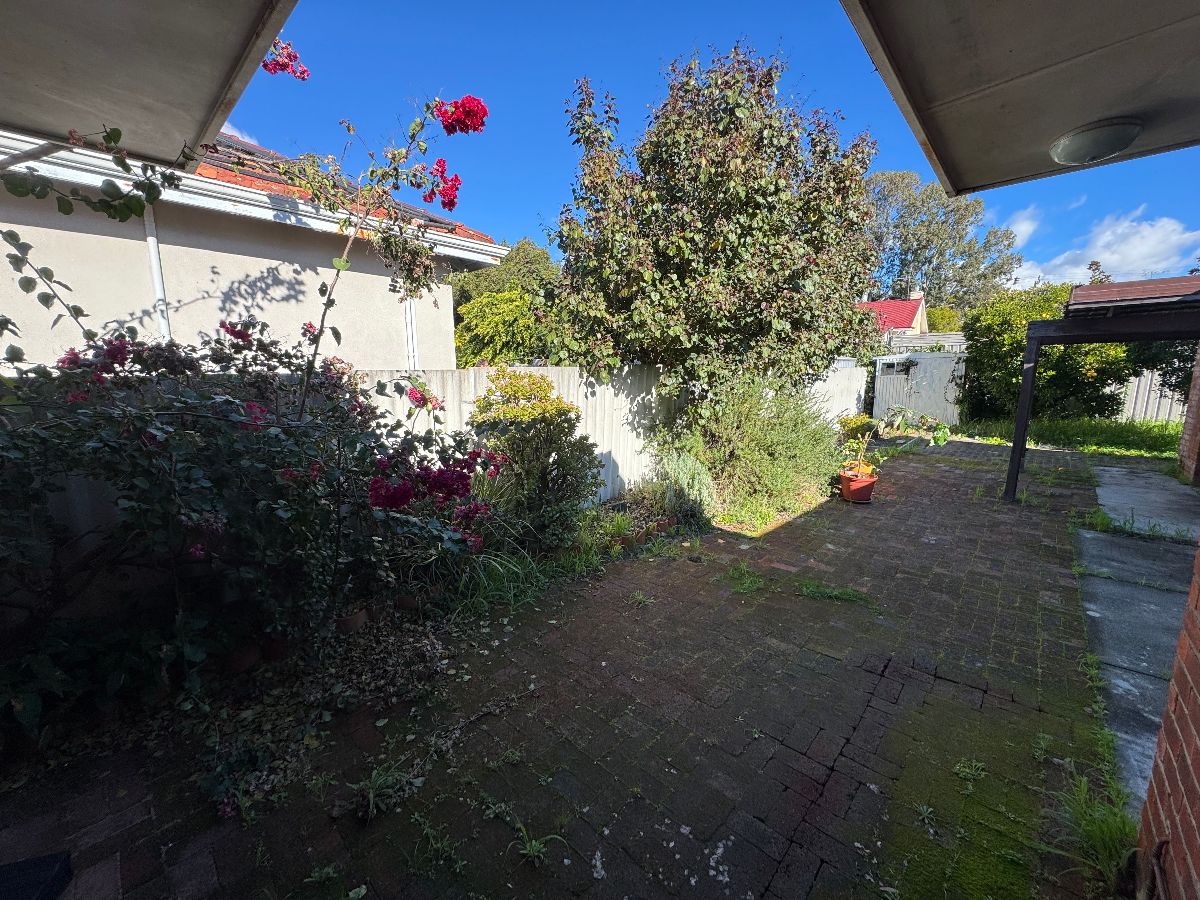 image-13