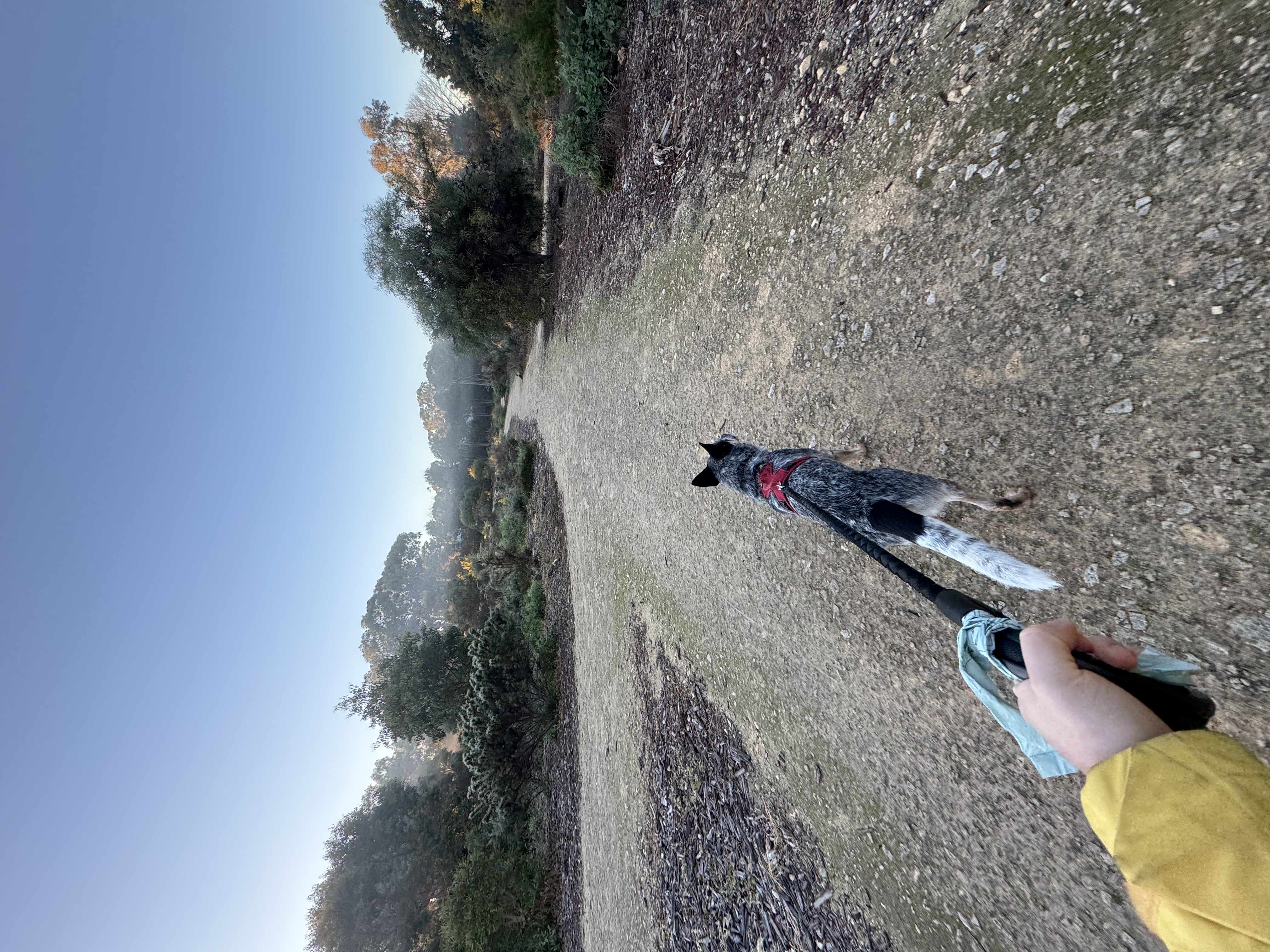 image-4