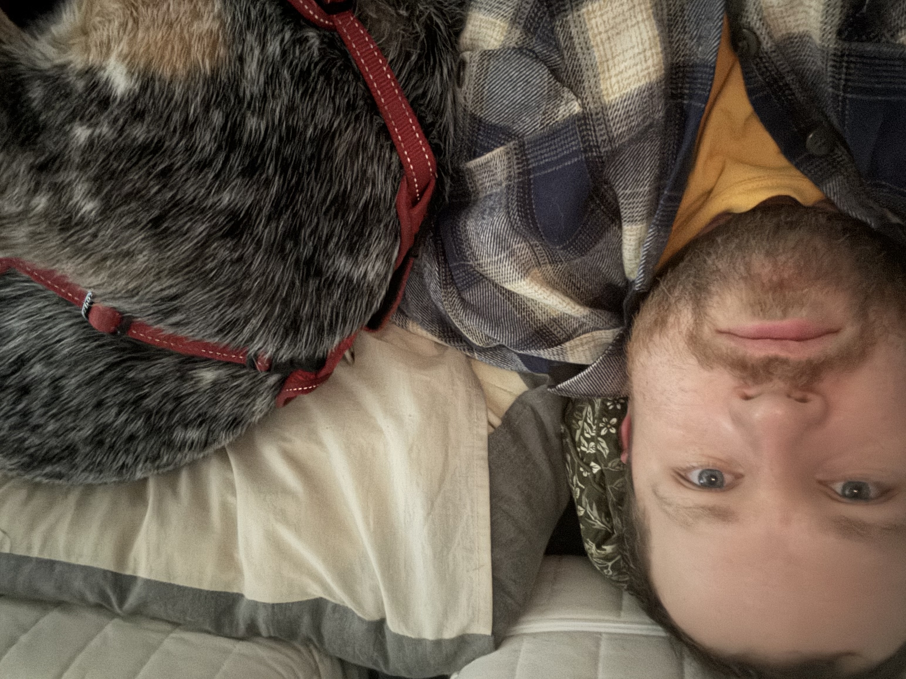 image-5