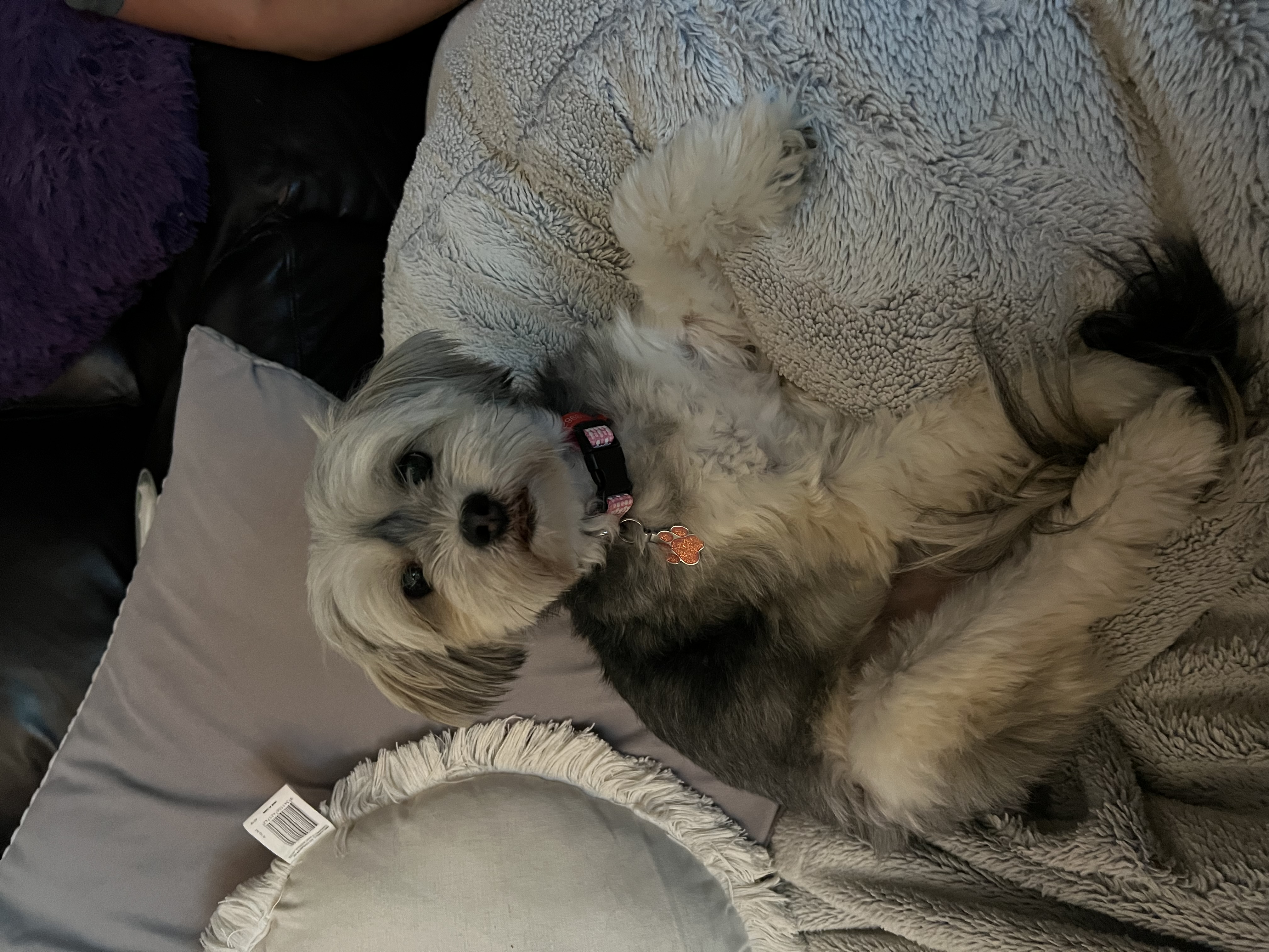 image-6