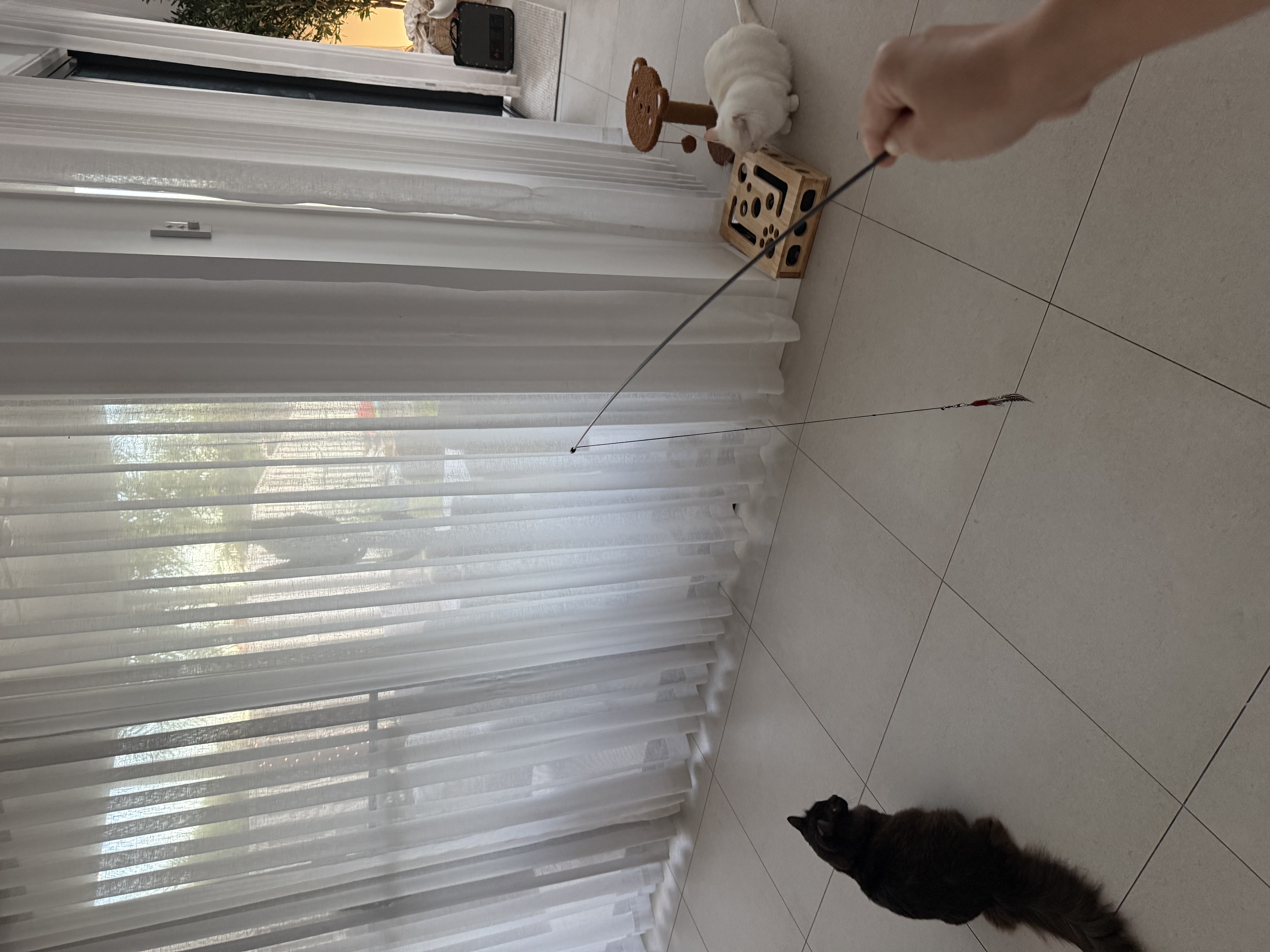 image-19