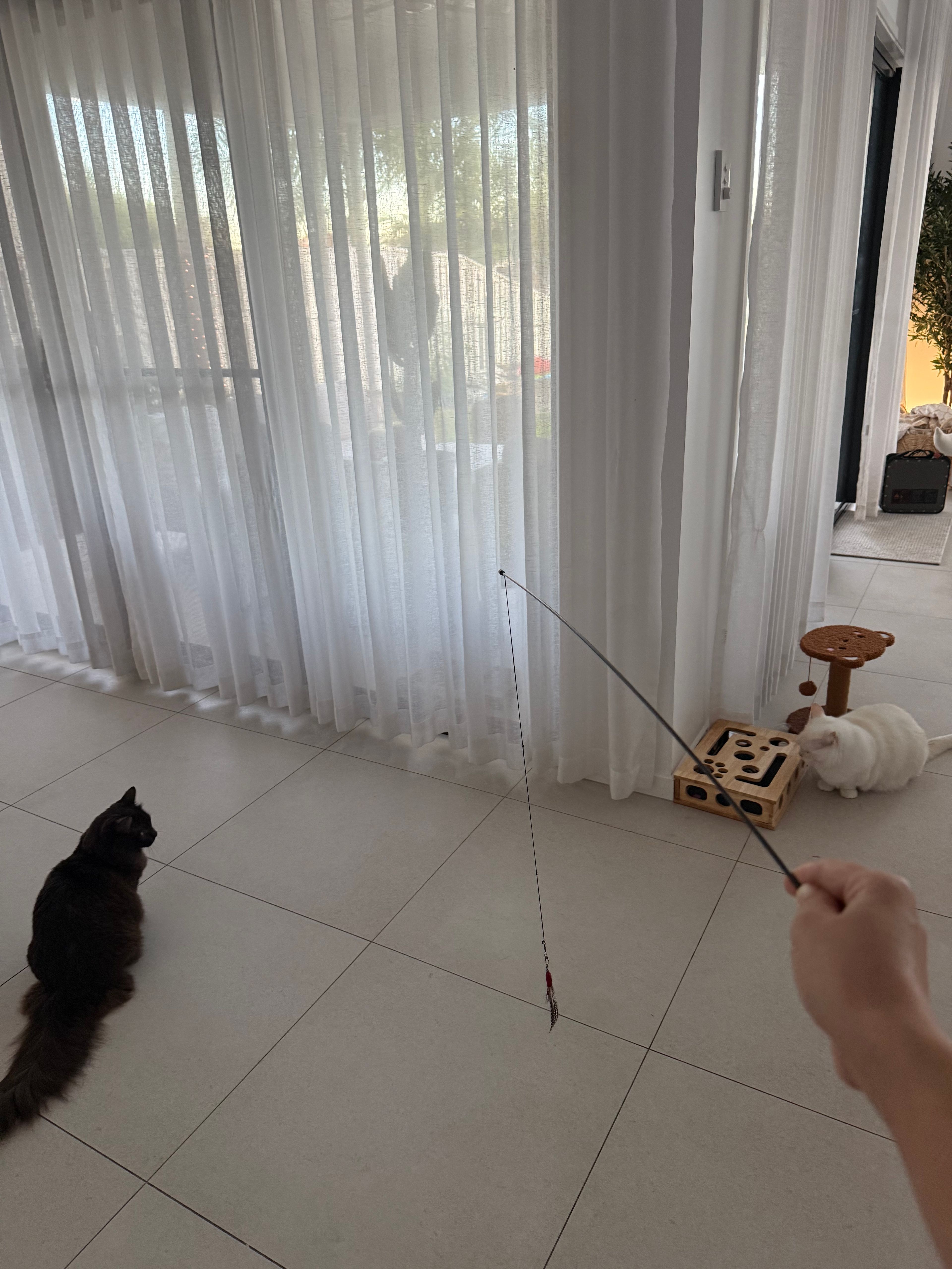 image-19