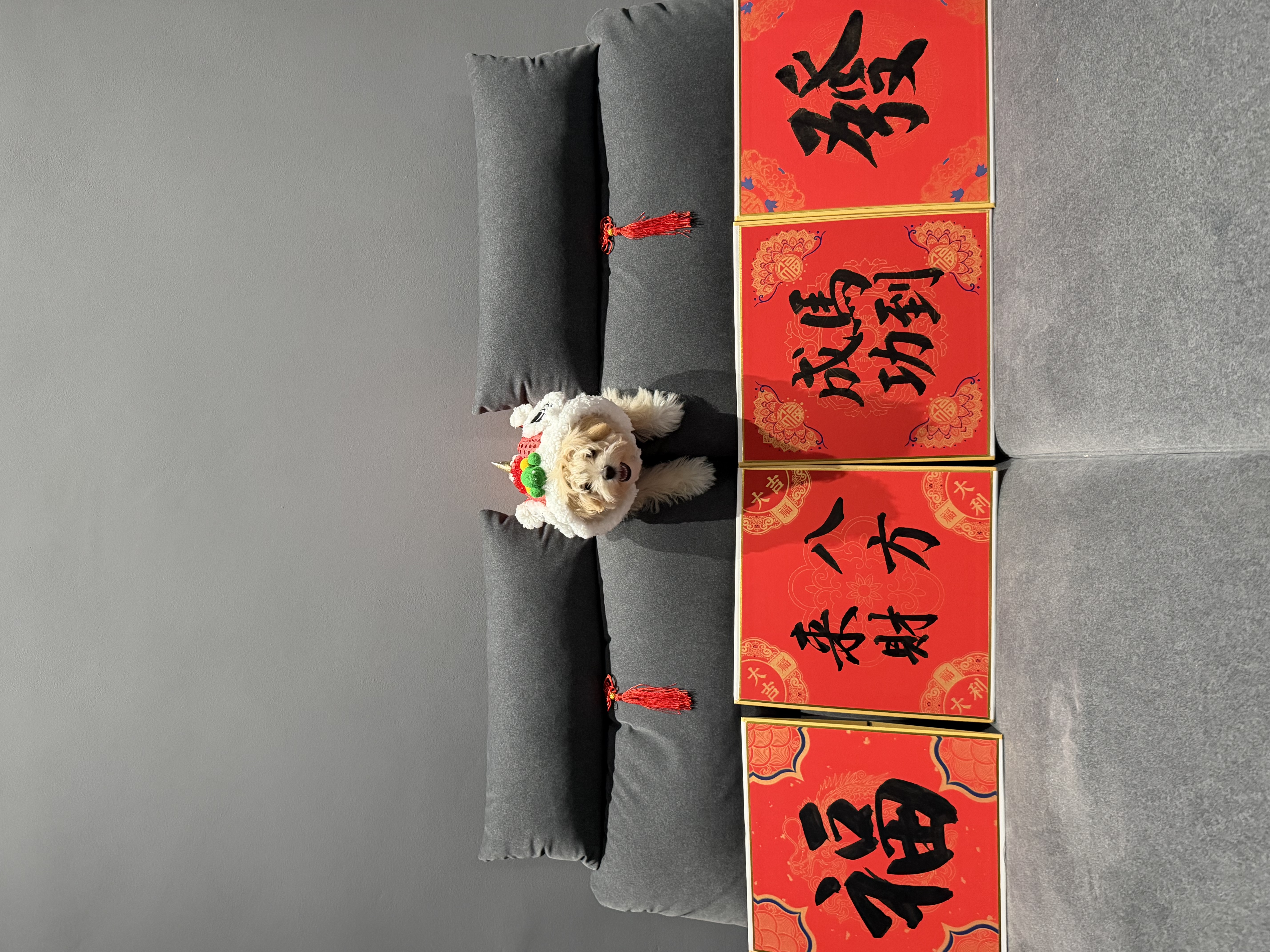 image-14