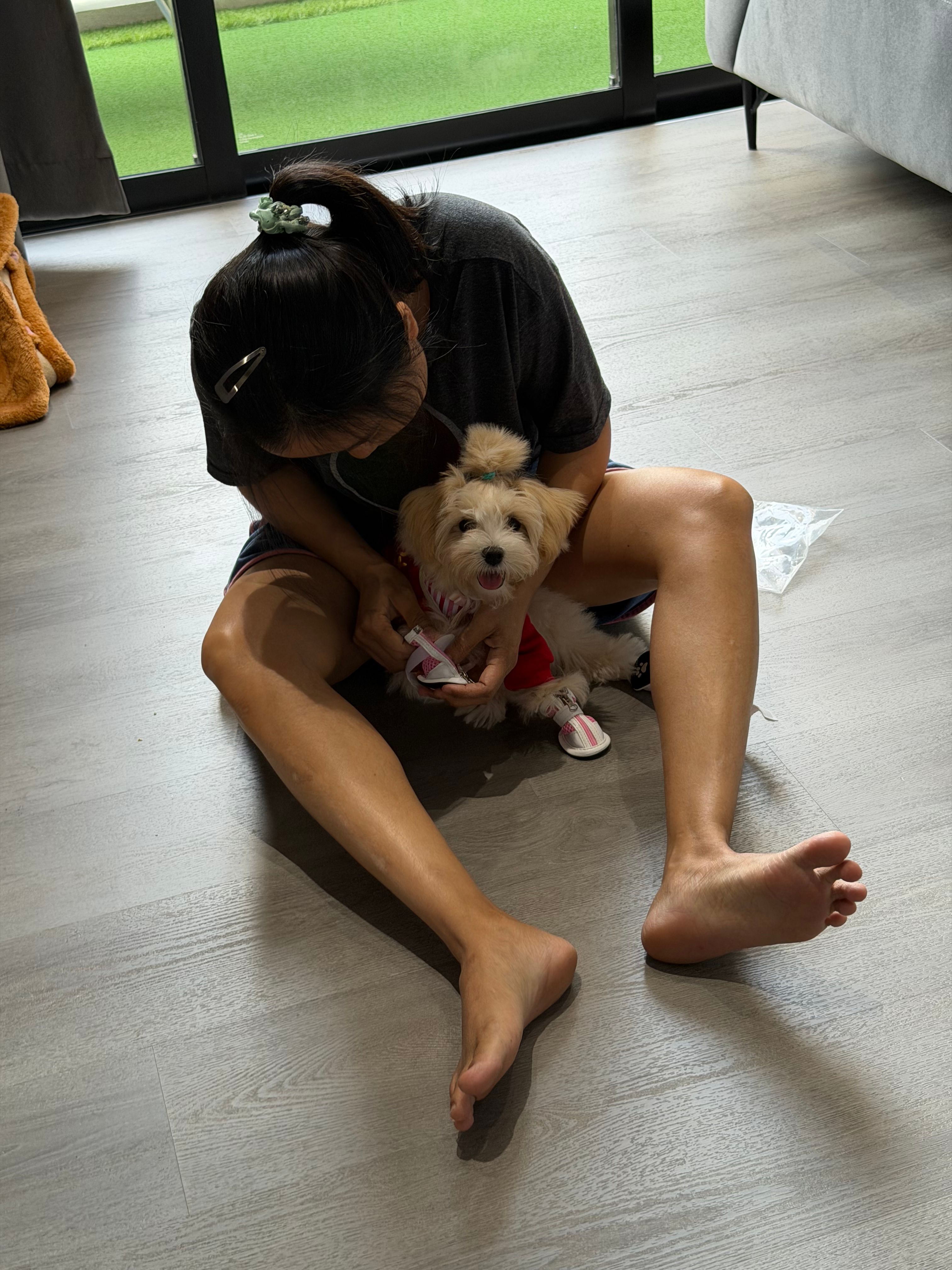 image-7