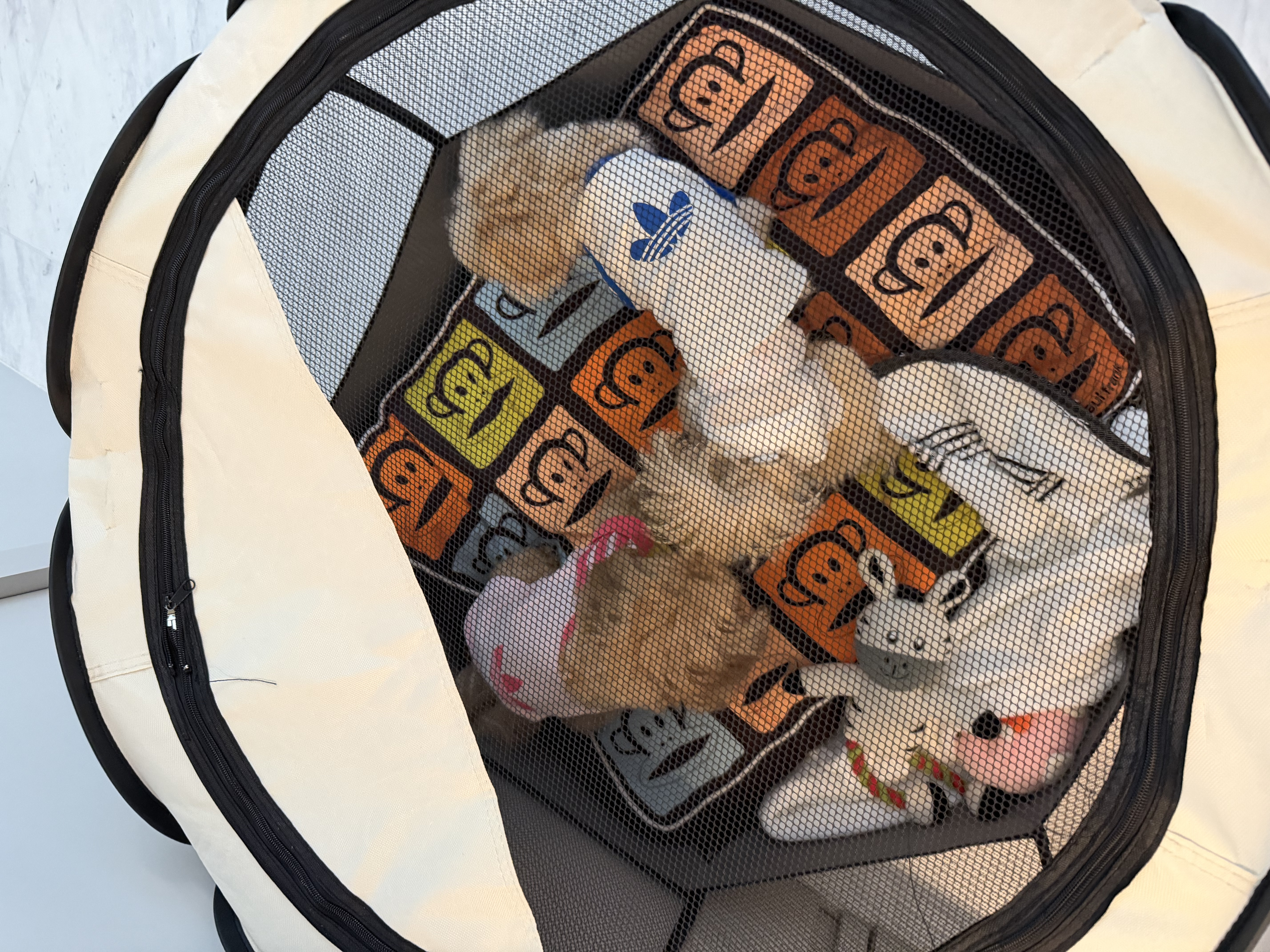 image-2
