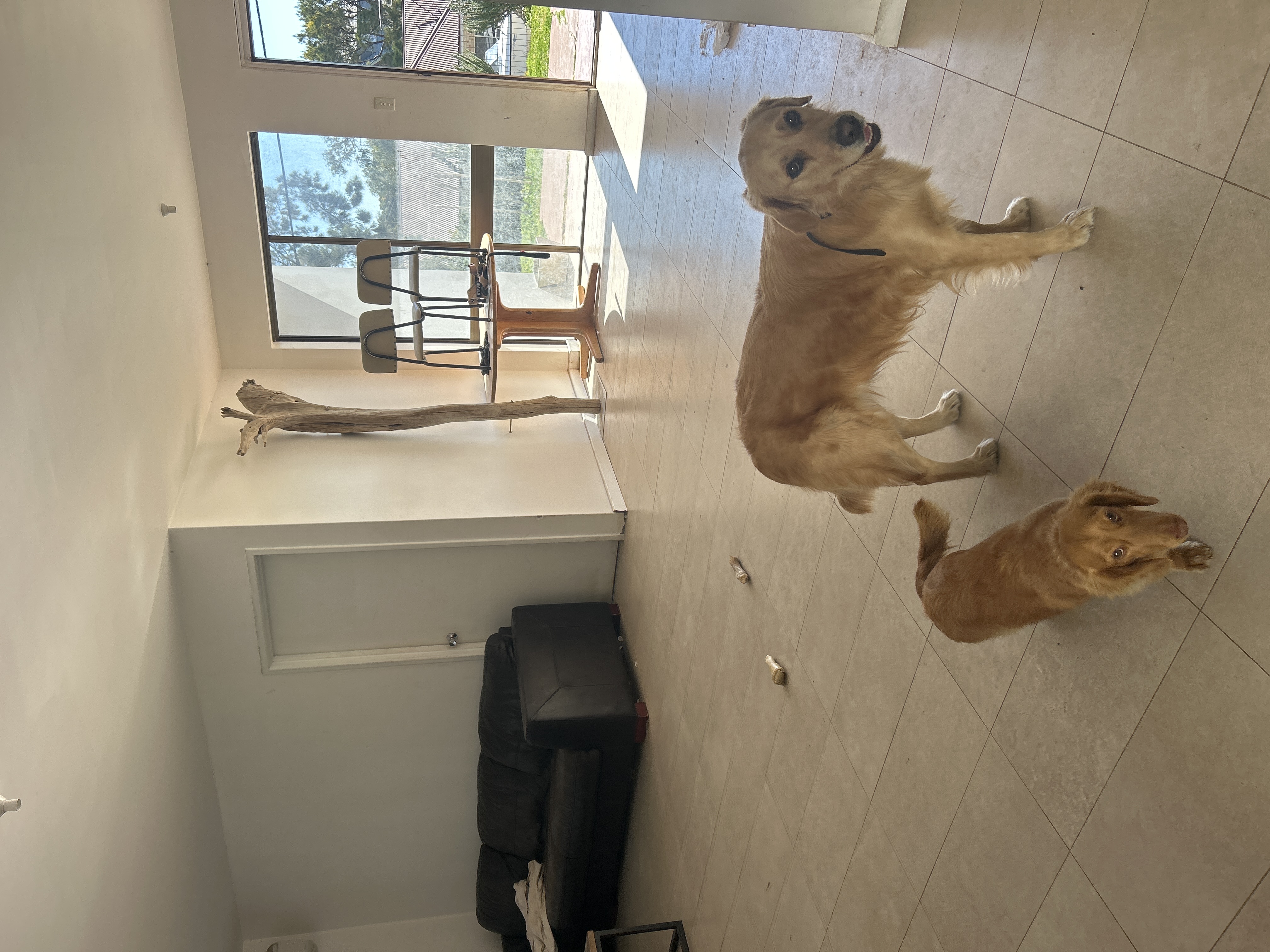 image-17