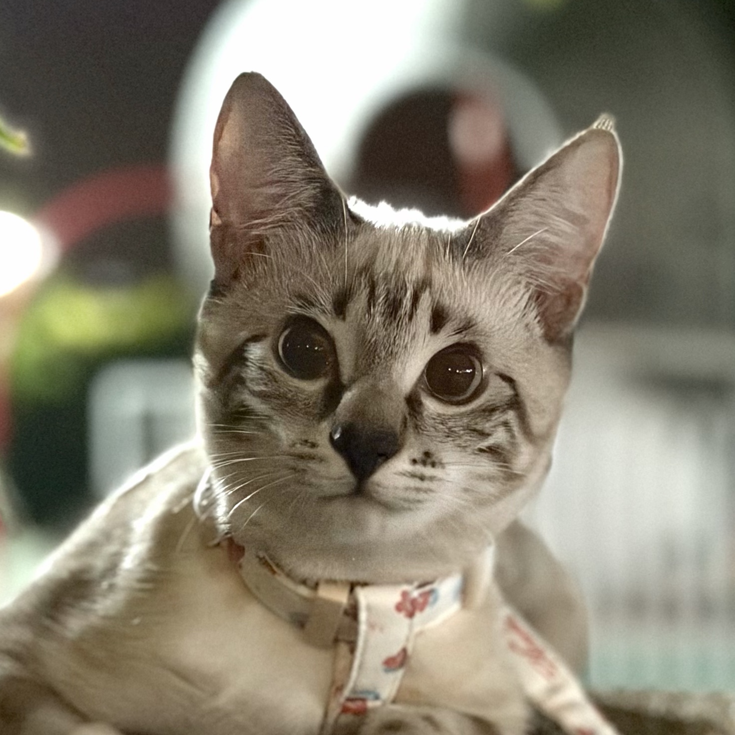 Sputnik