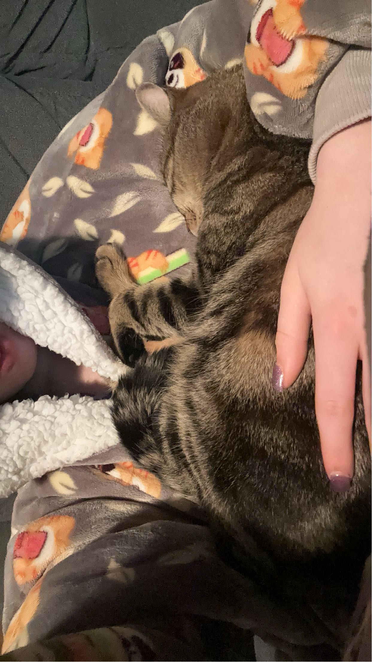 image-6