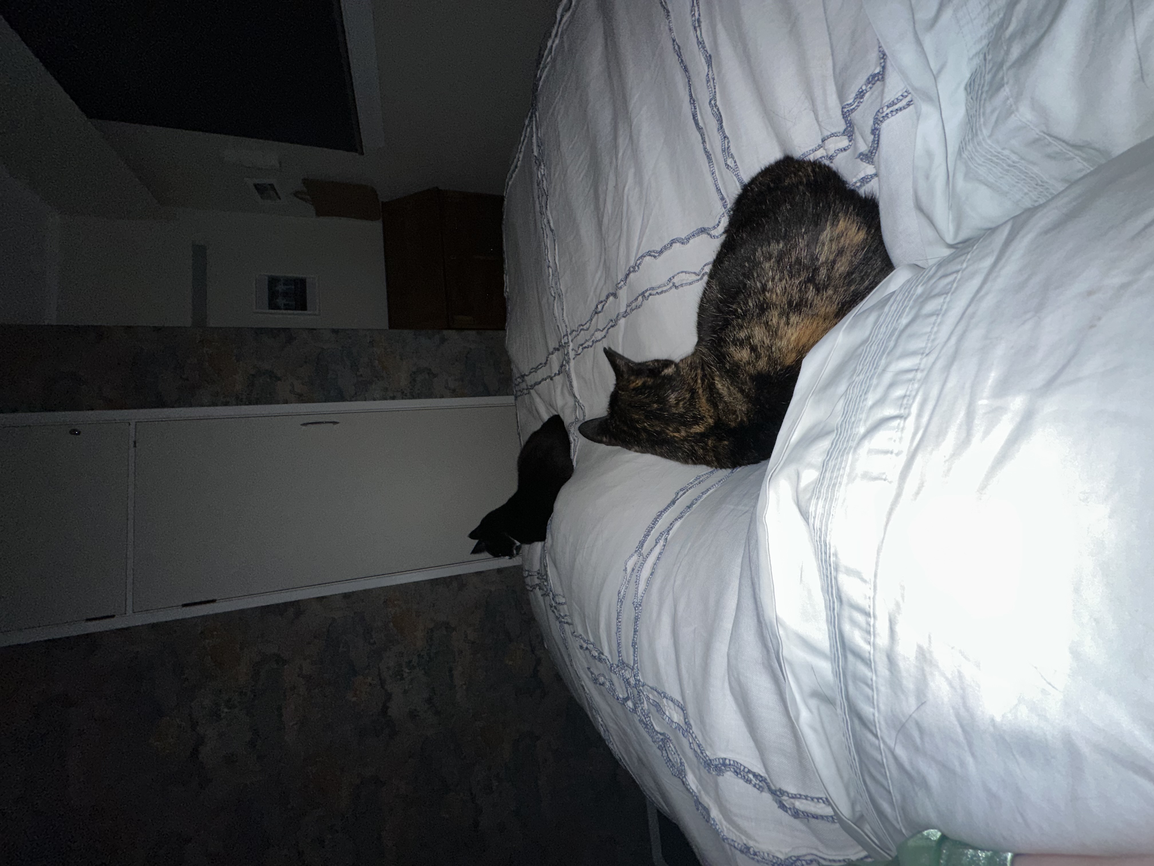 image-9