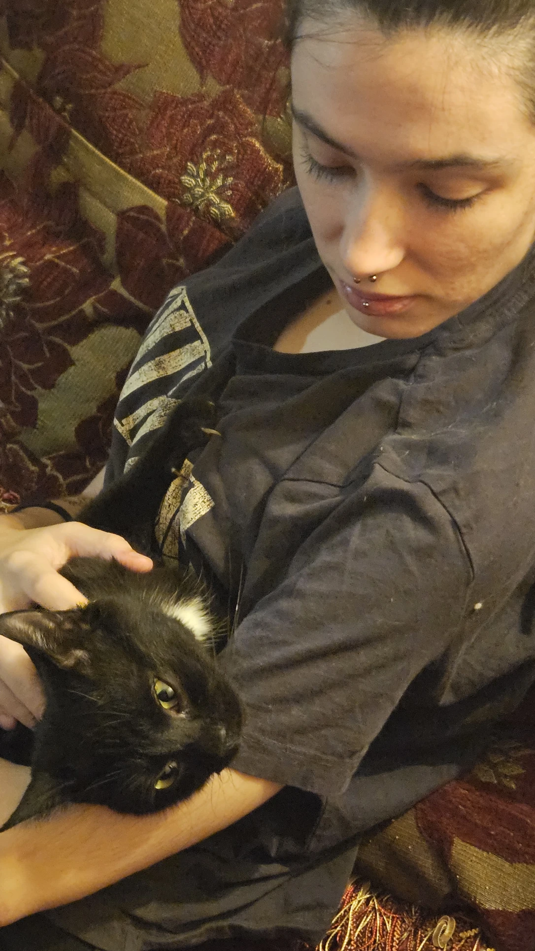 image-7