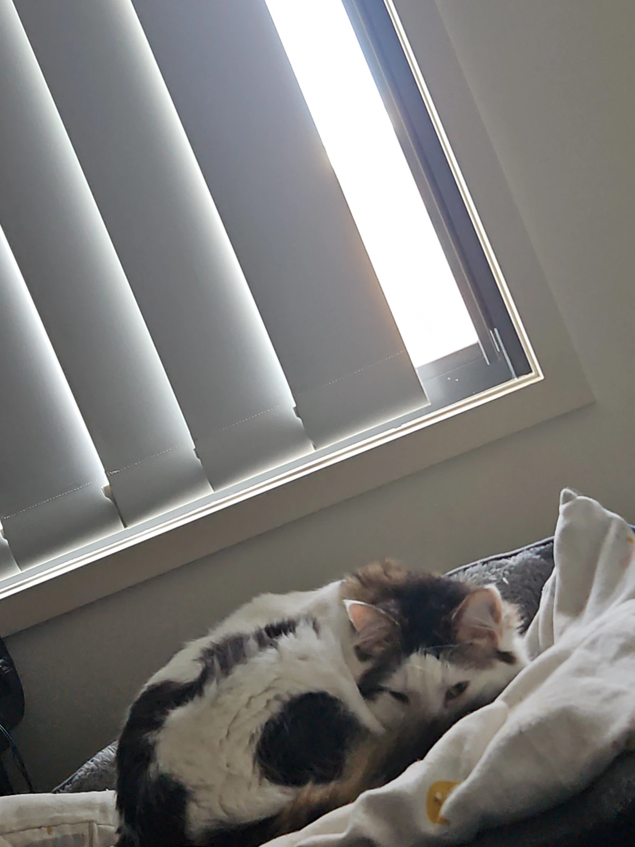 image-6