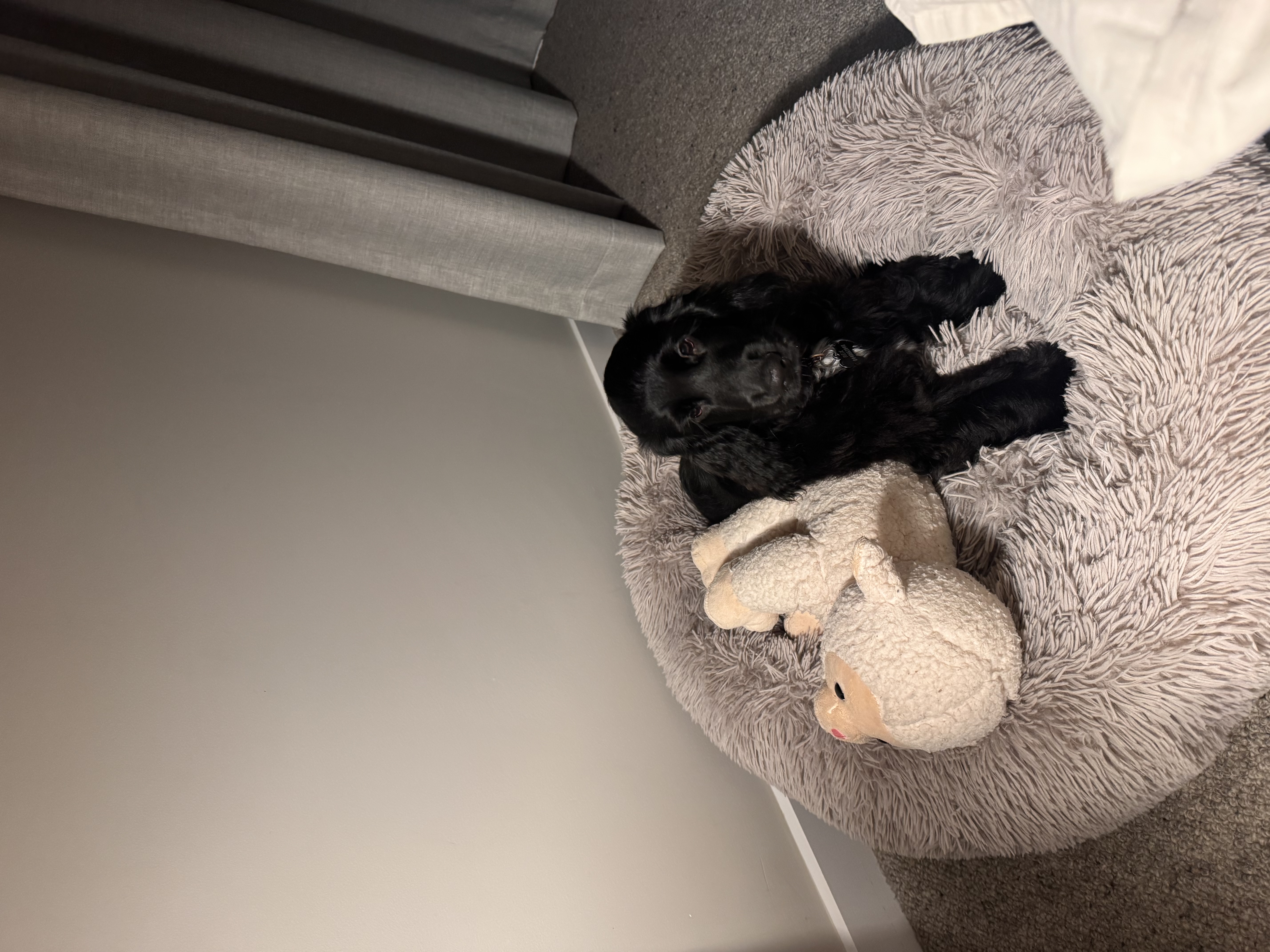 image-10