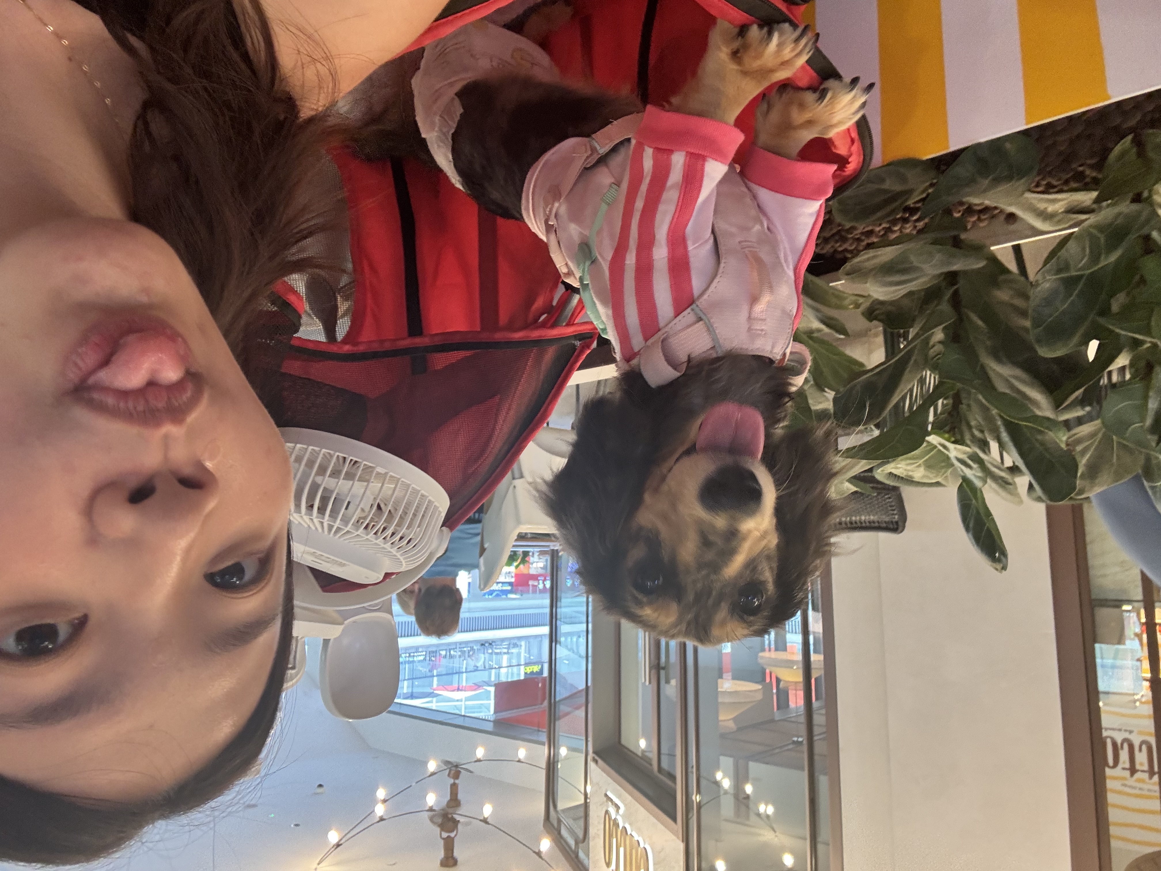 image-6