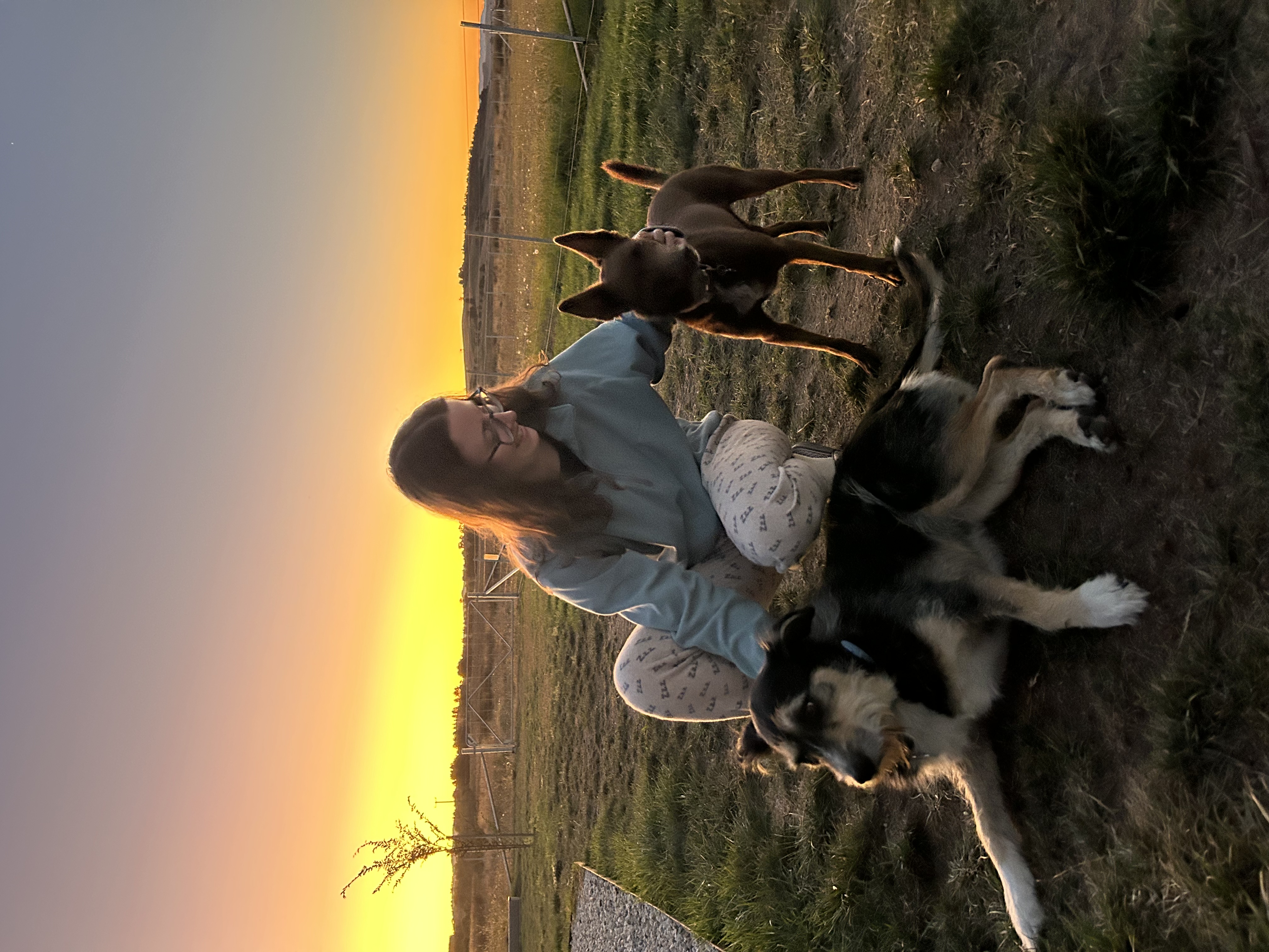 image-3
