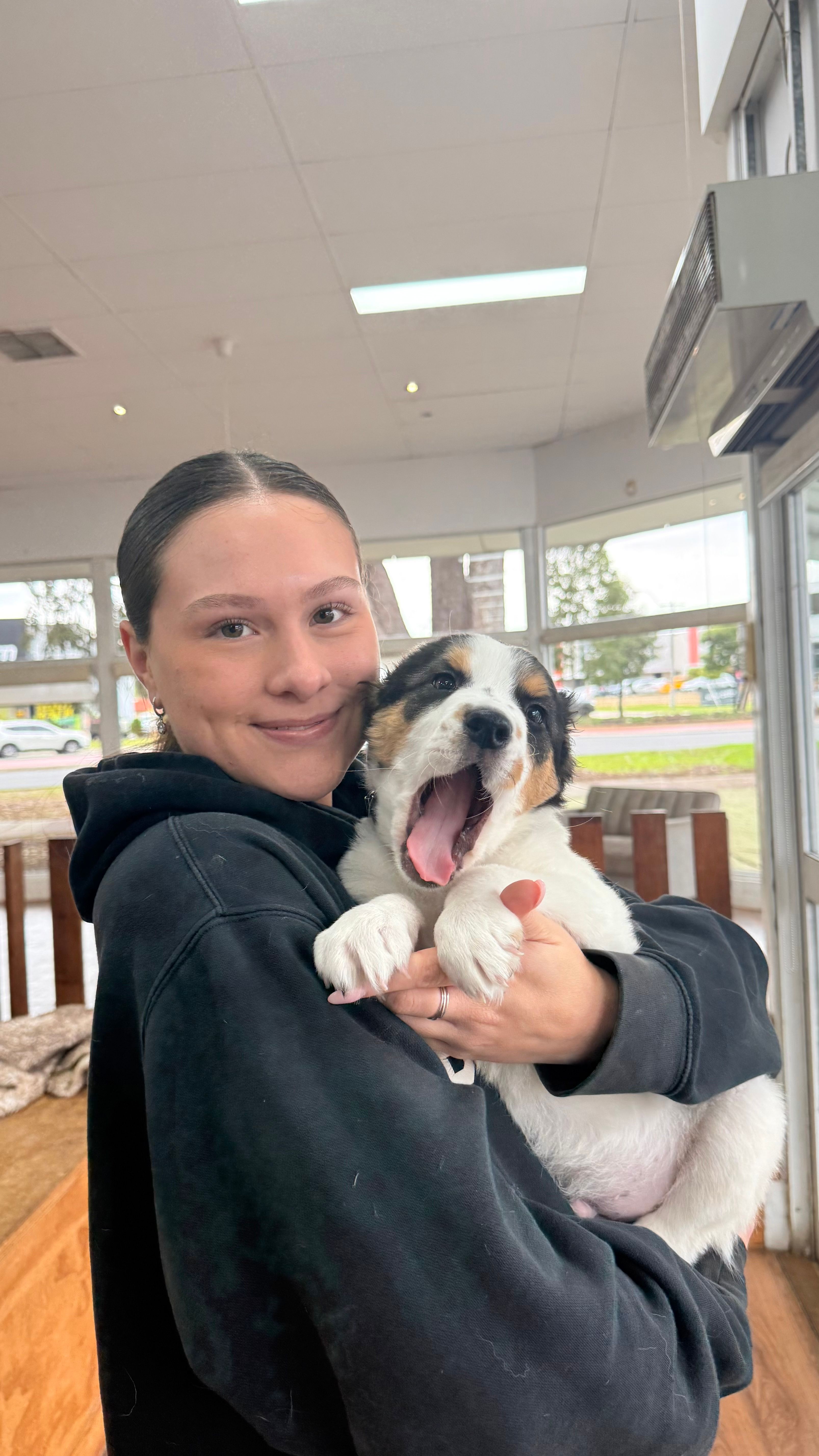 image-2