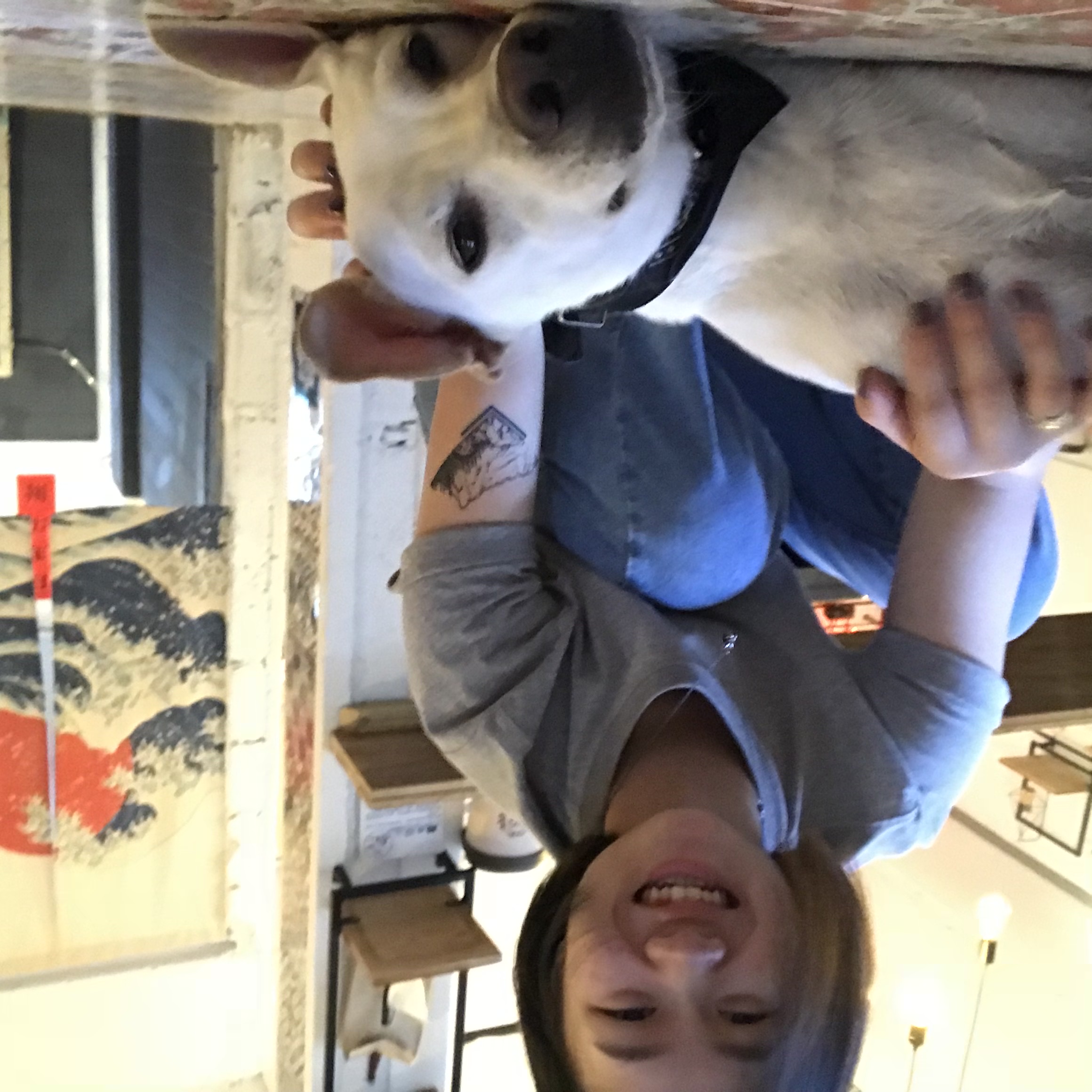 image-5