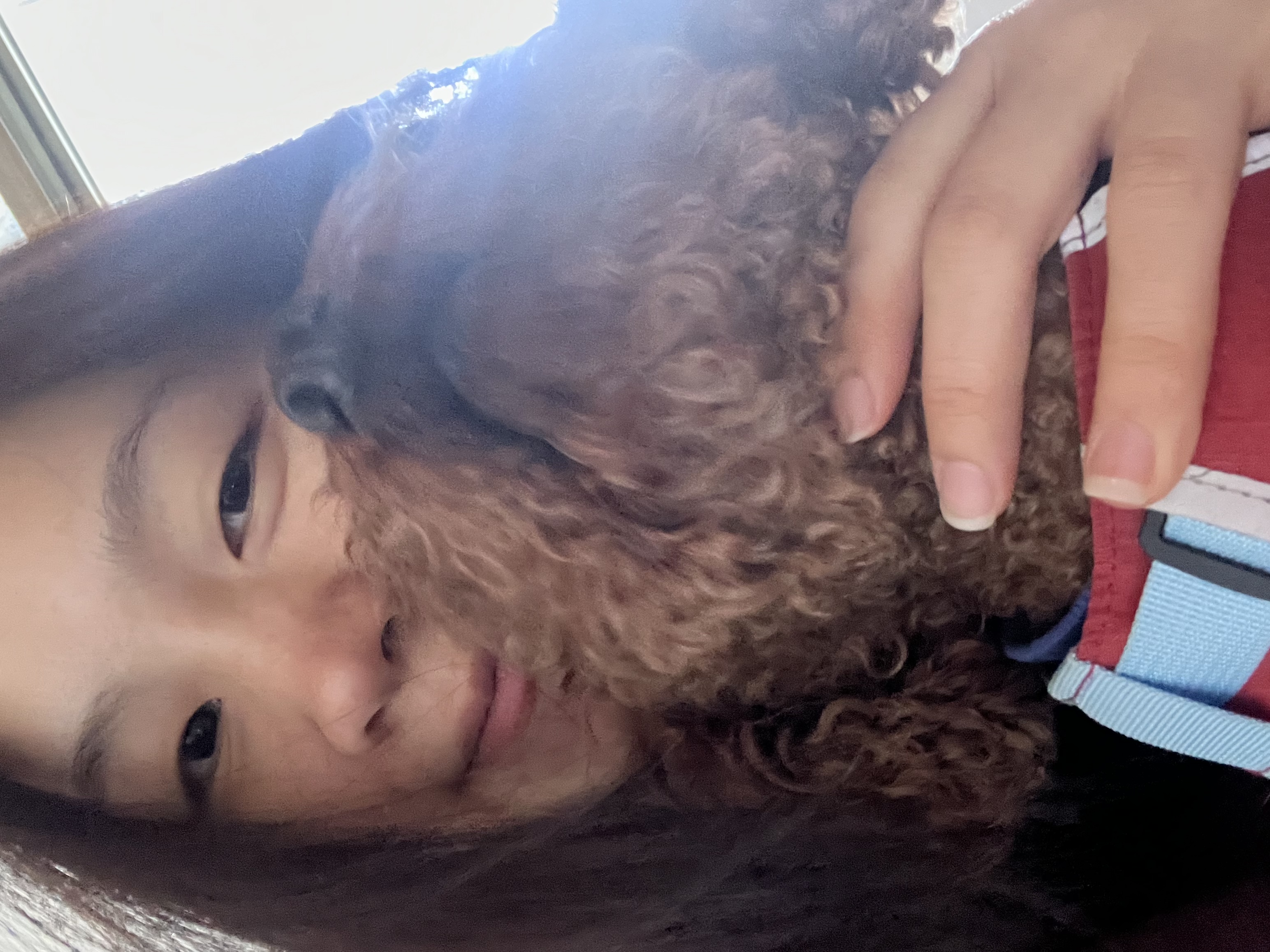 image-6