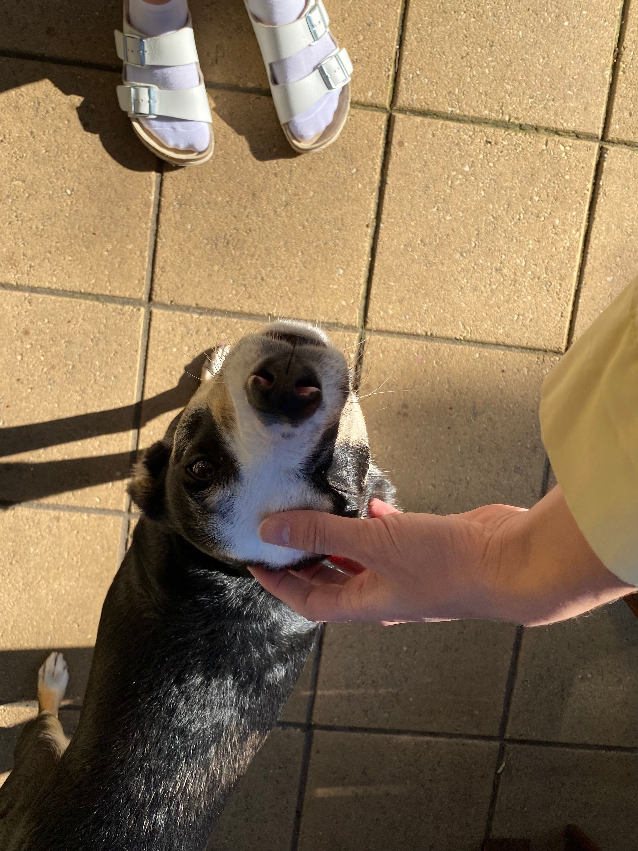 image-8