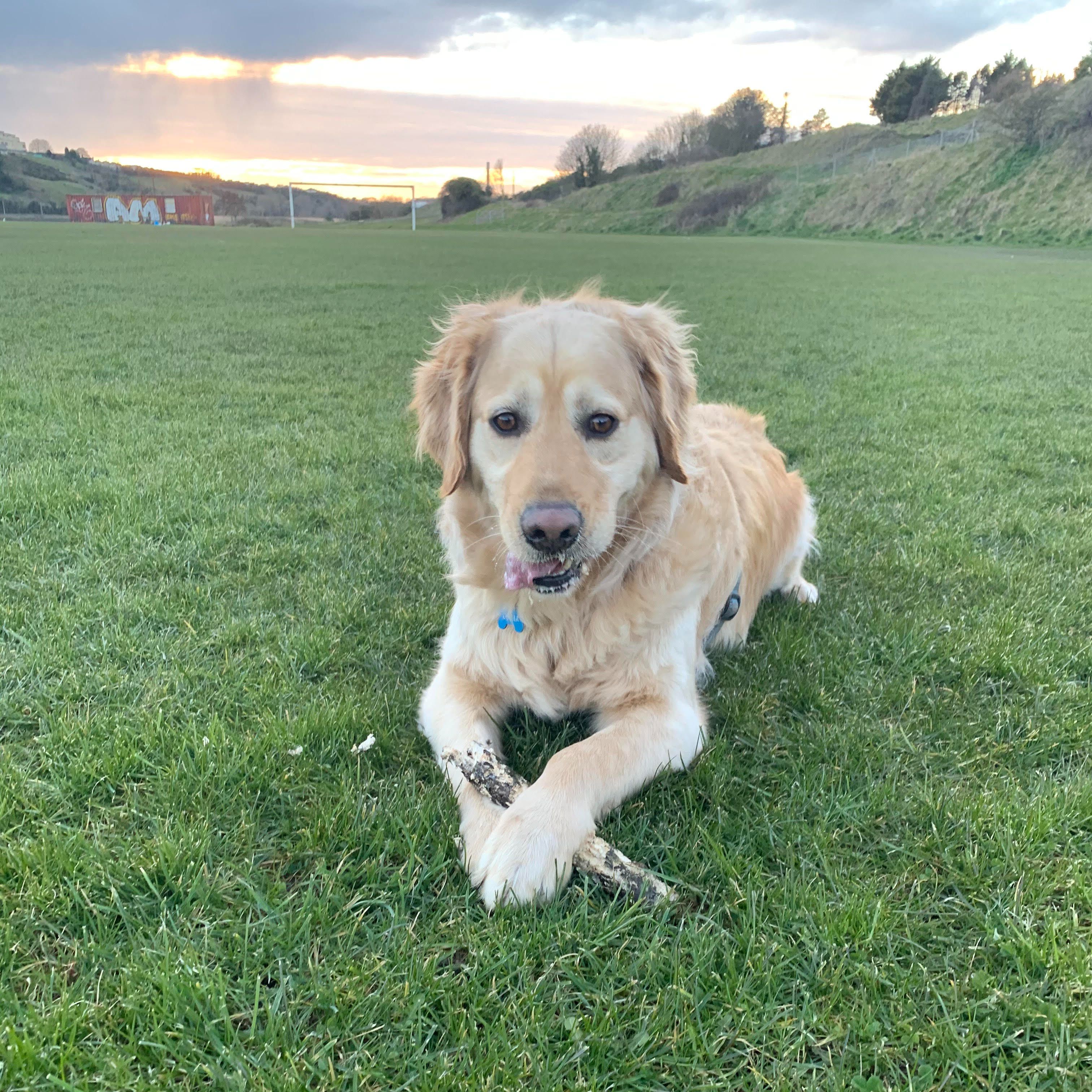 Oscar 