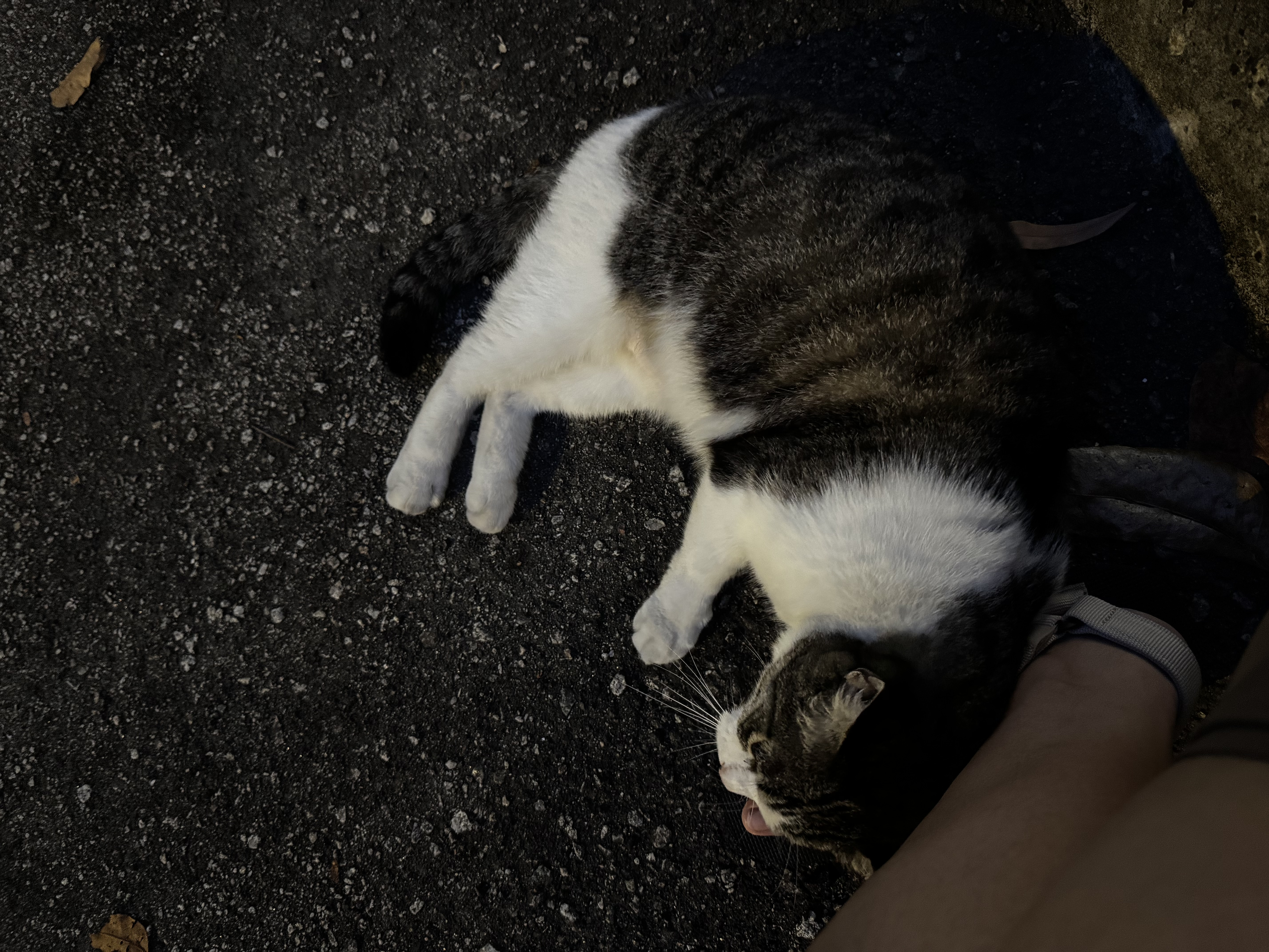 image-6